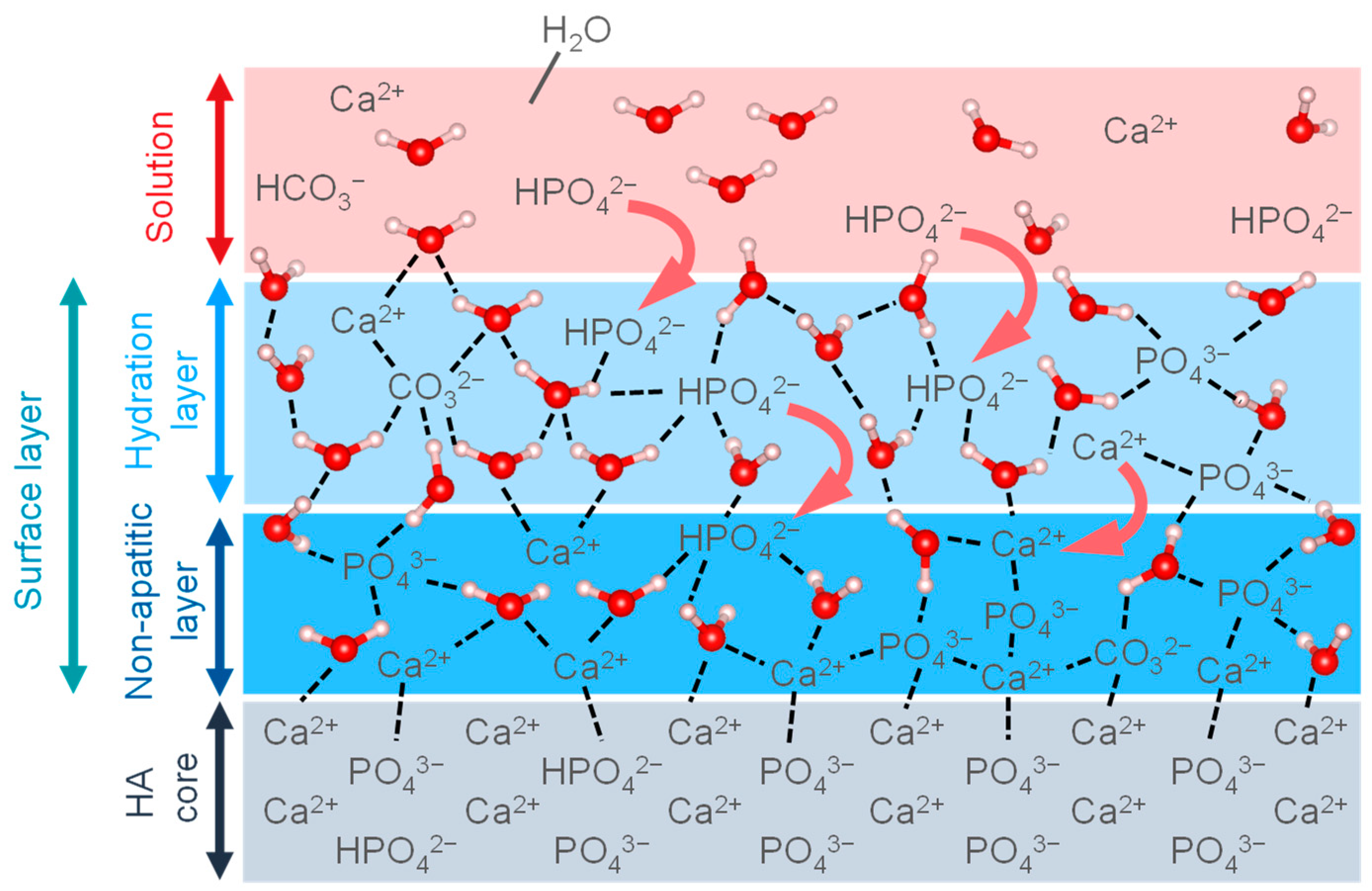 Biomimetics 08 00184 g006 Biomimetics 08 00184 g006