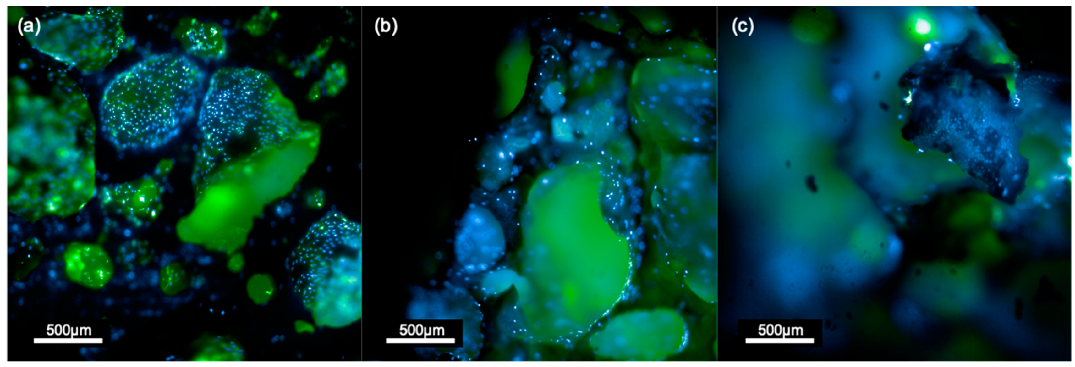 Biomimetics 08 00185 g006 Biomimetics 08 00185 g006