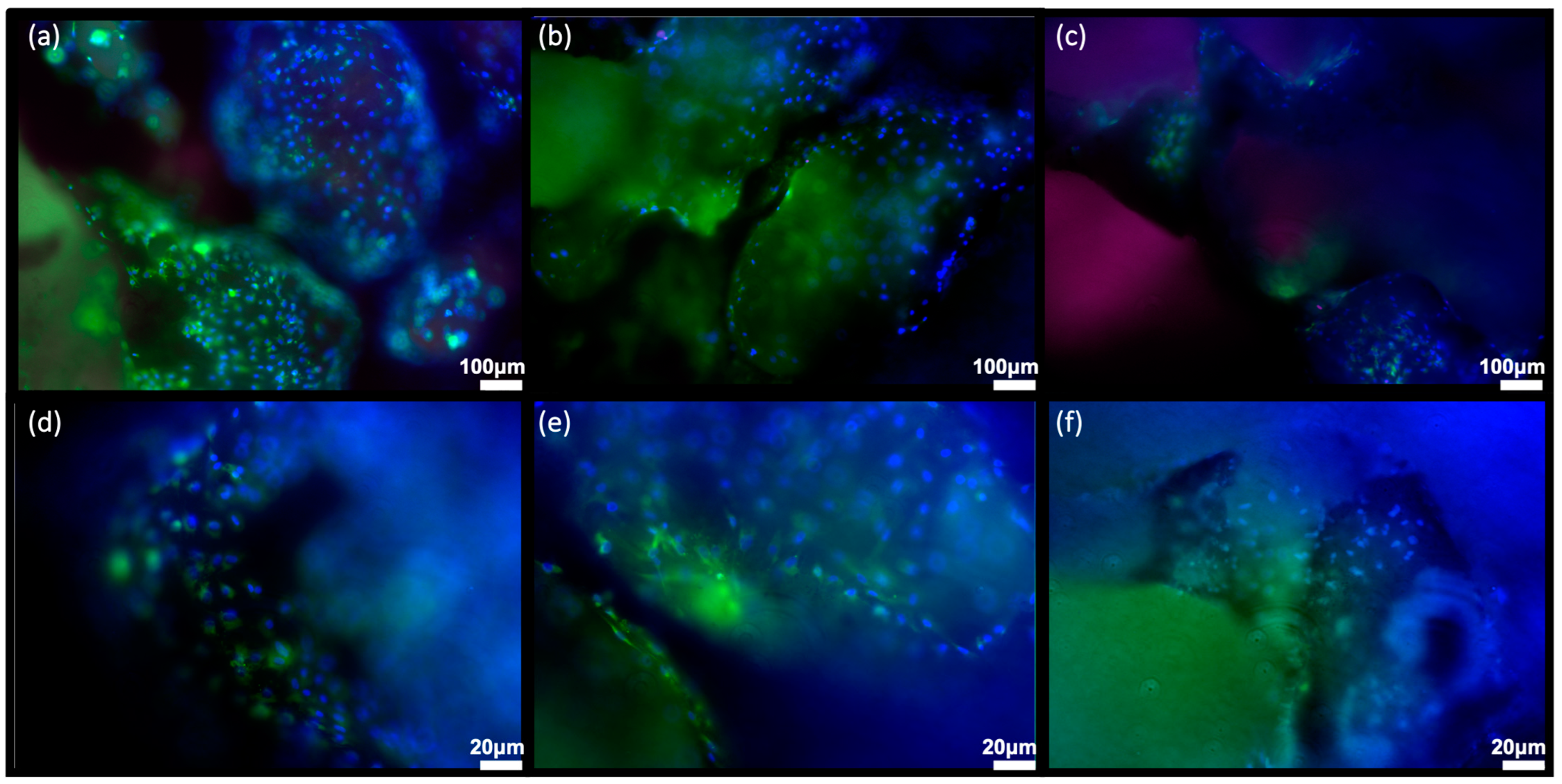 Biomimetics 08 00185 g007 Biomimetics 08 00185 g007