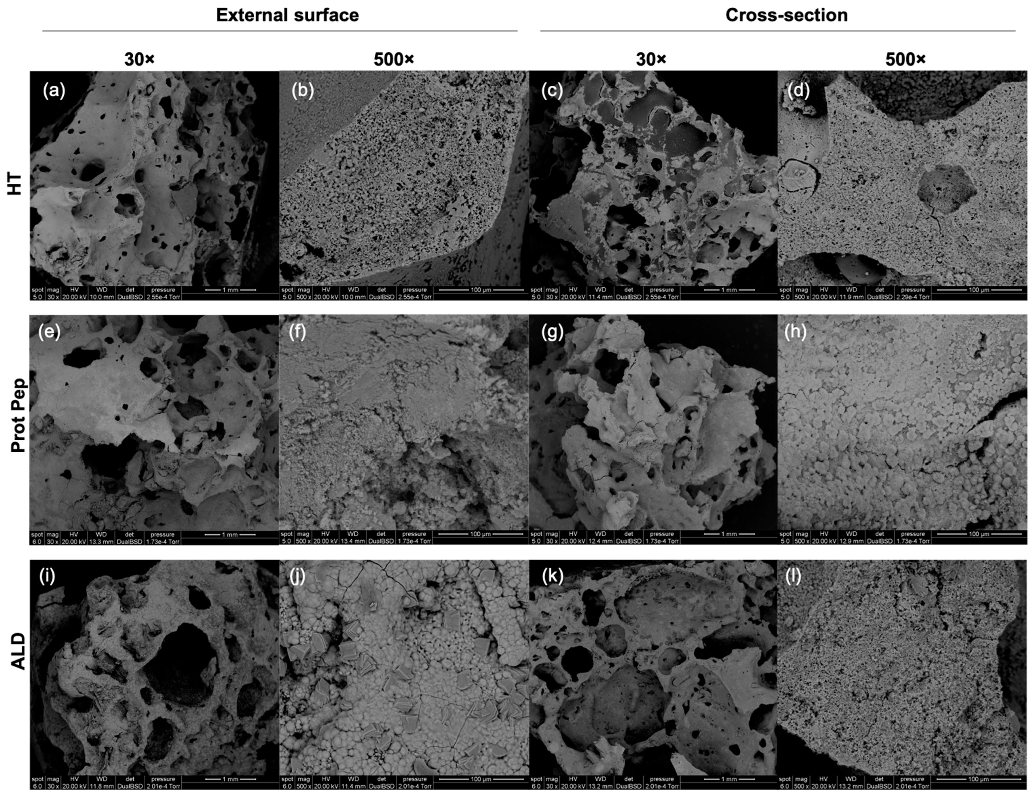 Biomimetics 08 00185 g010 Biomimetics 08 00185 g010