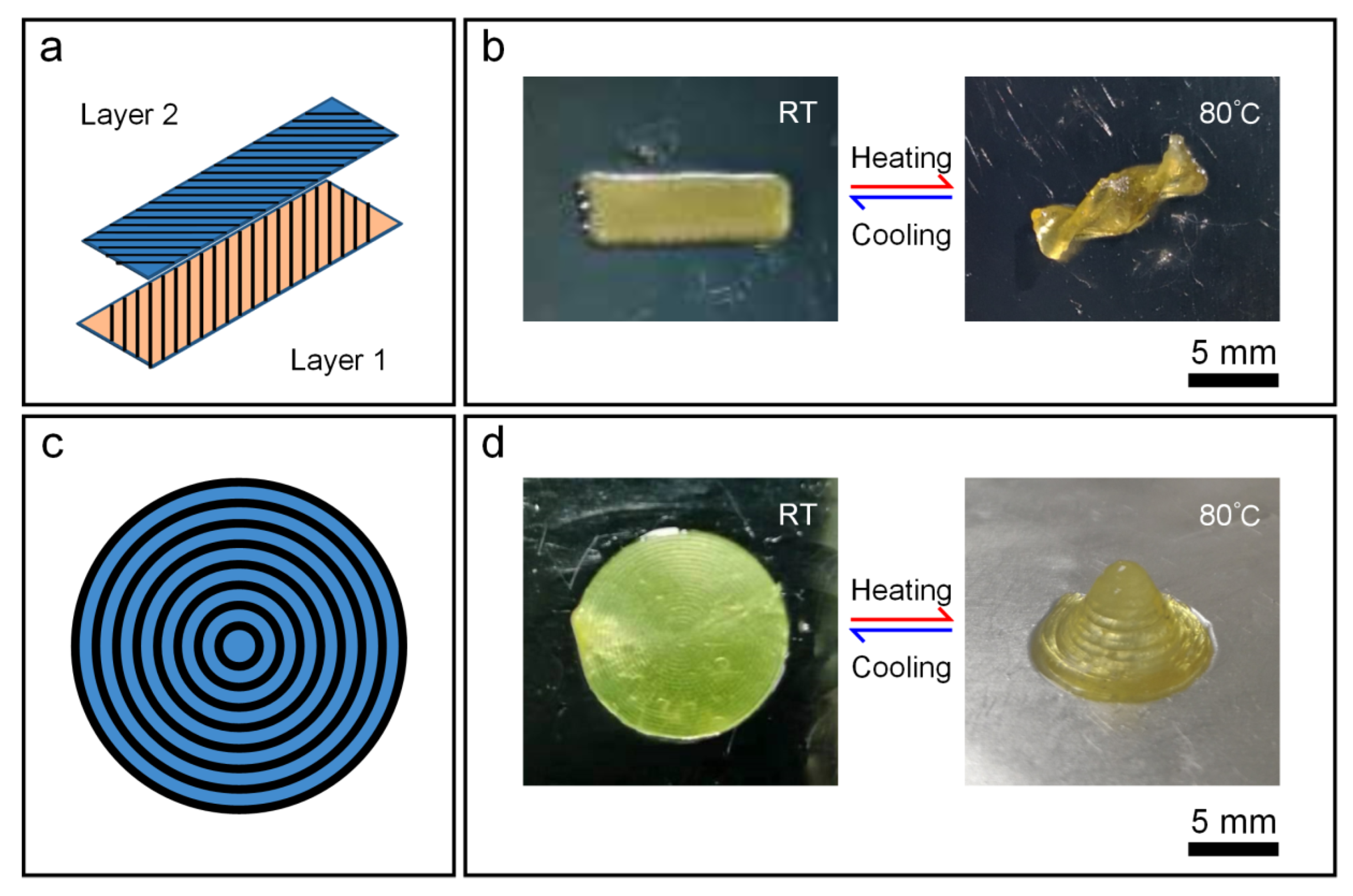 Biomimetics 08 00196 g006 Biomimetics 08 00196 g006