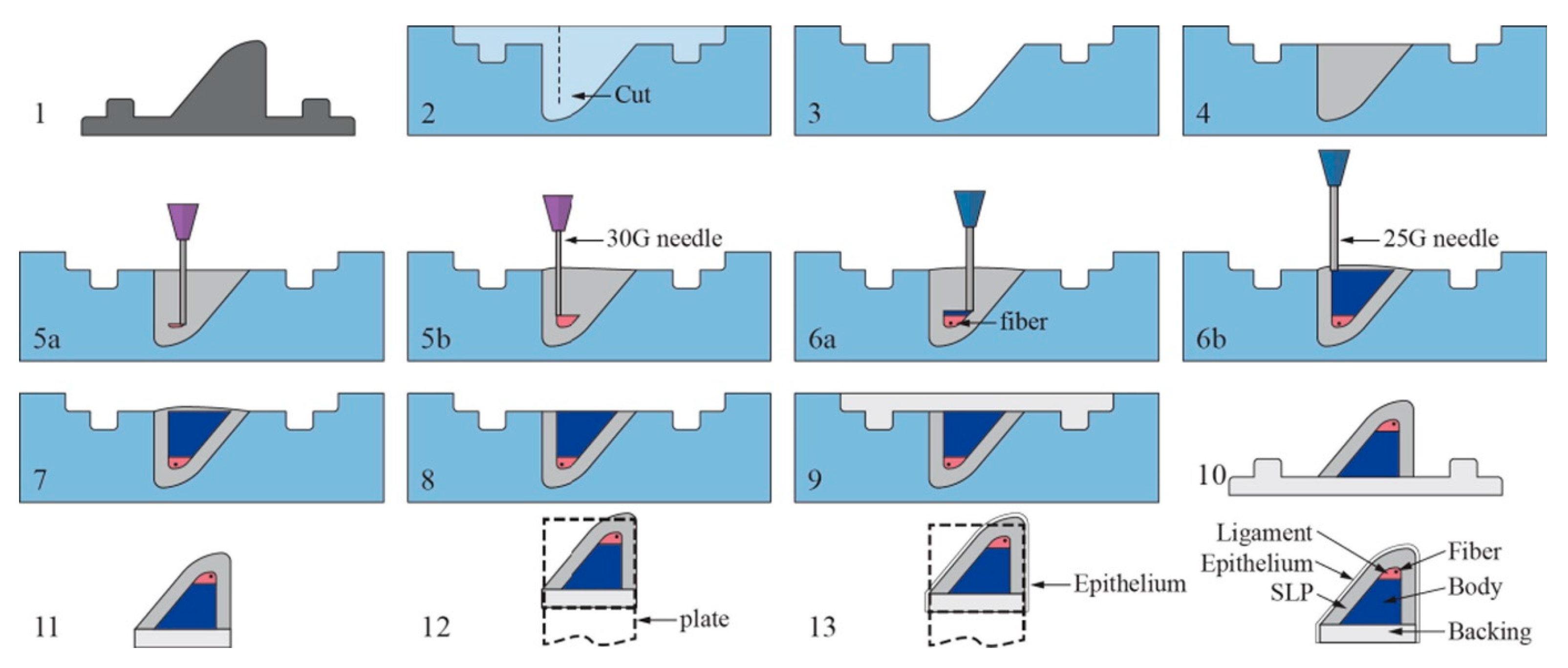 Biomimetics 08 00205 g003 Biomimetics 08 00205 g003