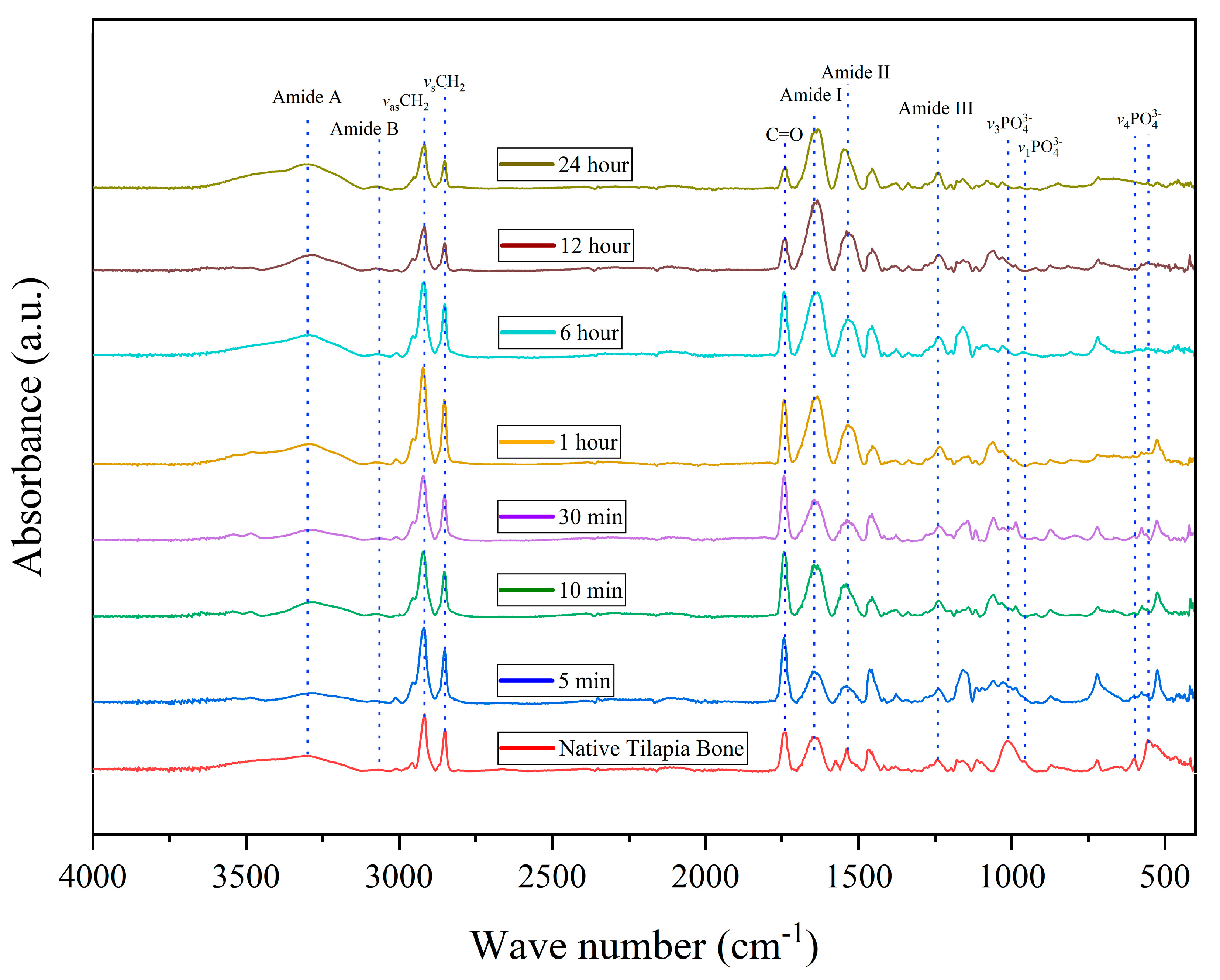 Biomimetics 08 00217 g003