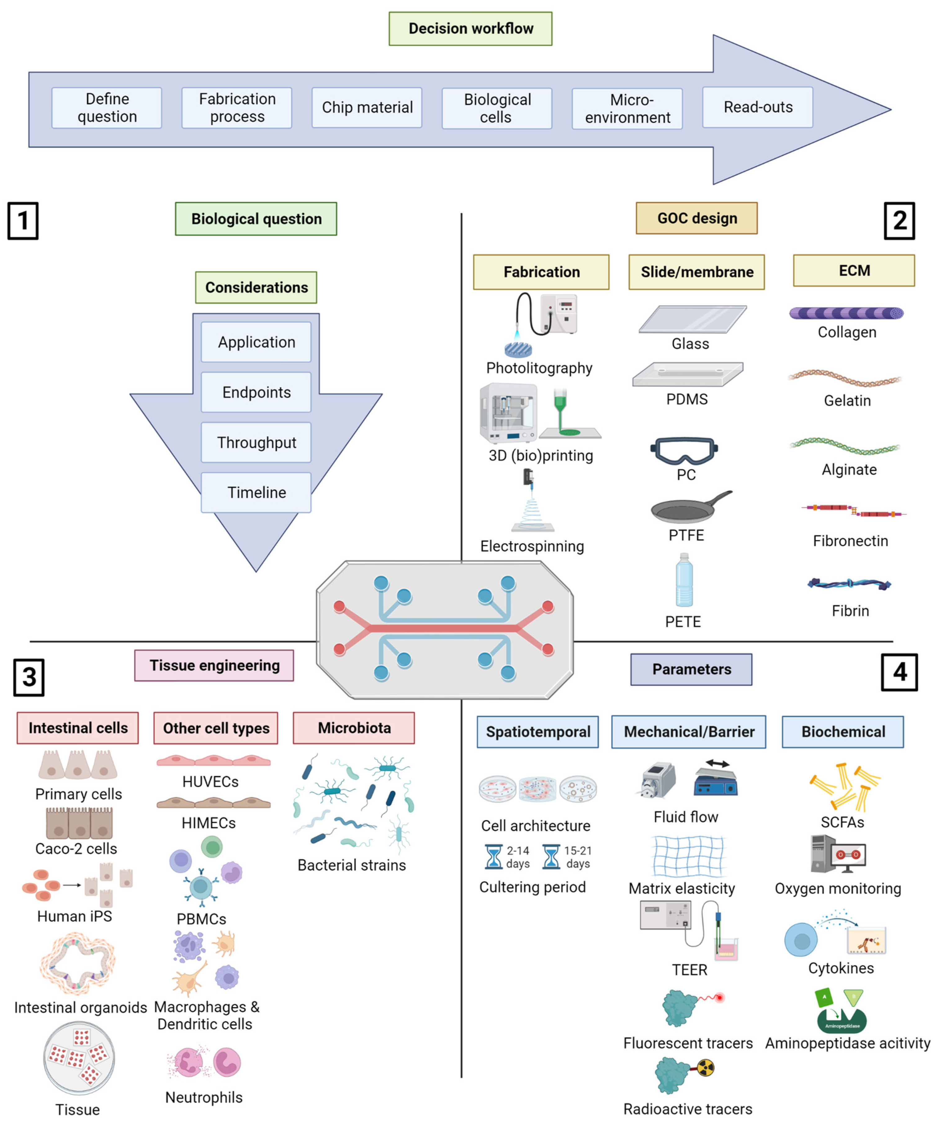 Biomimetics 08 00226 g001