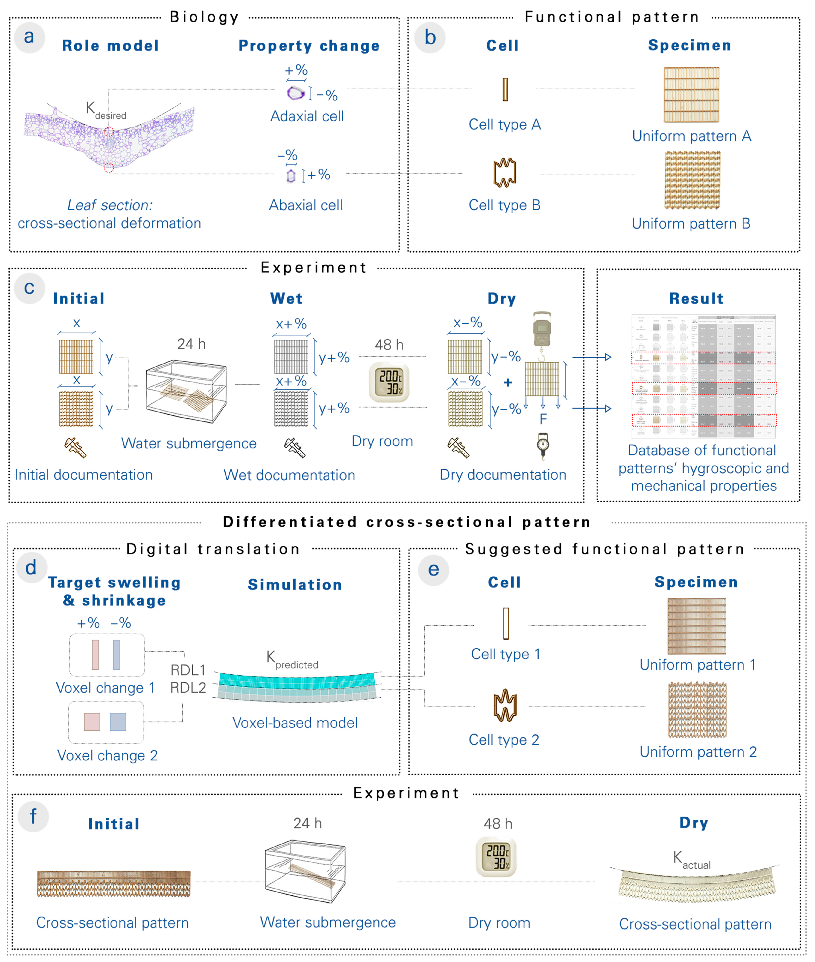 Biomimetics 08 00233 g002 Biomimetics 08 00233 g002