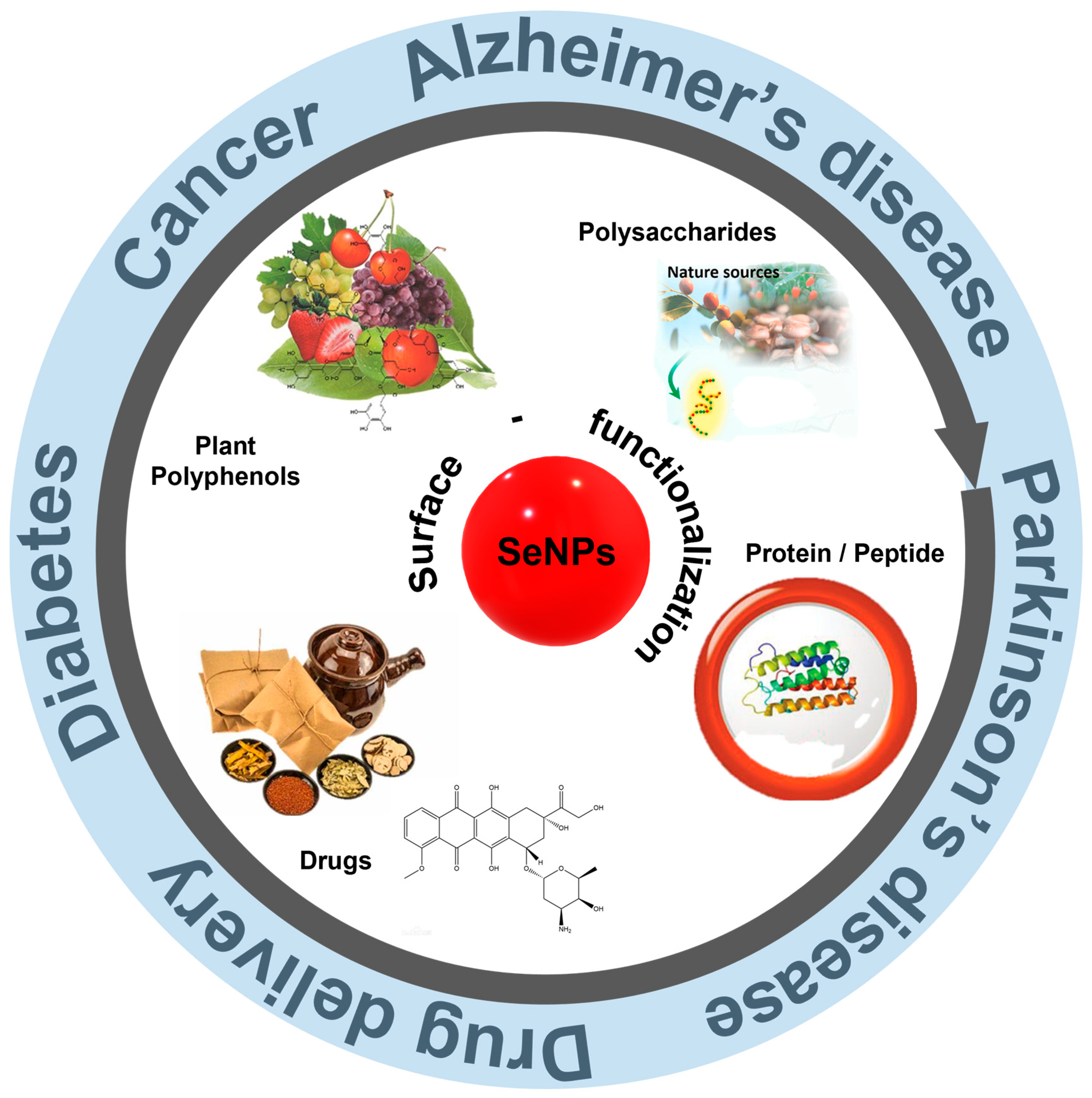 Biomimetics 08 00259 g002 Biomimetics 08 00259 g002