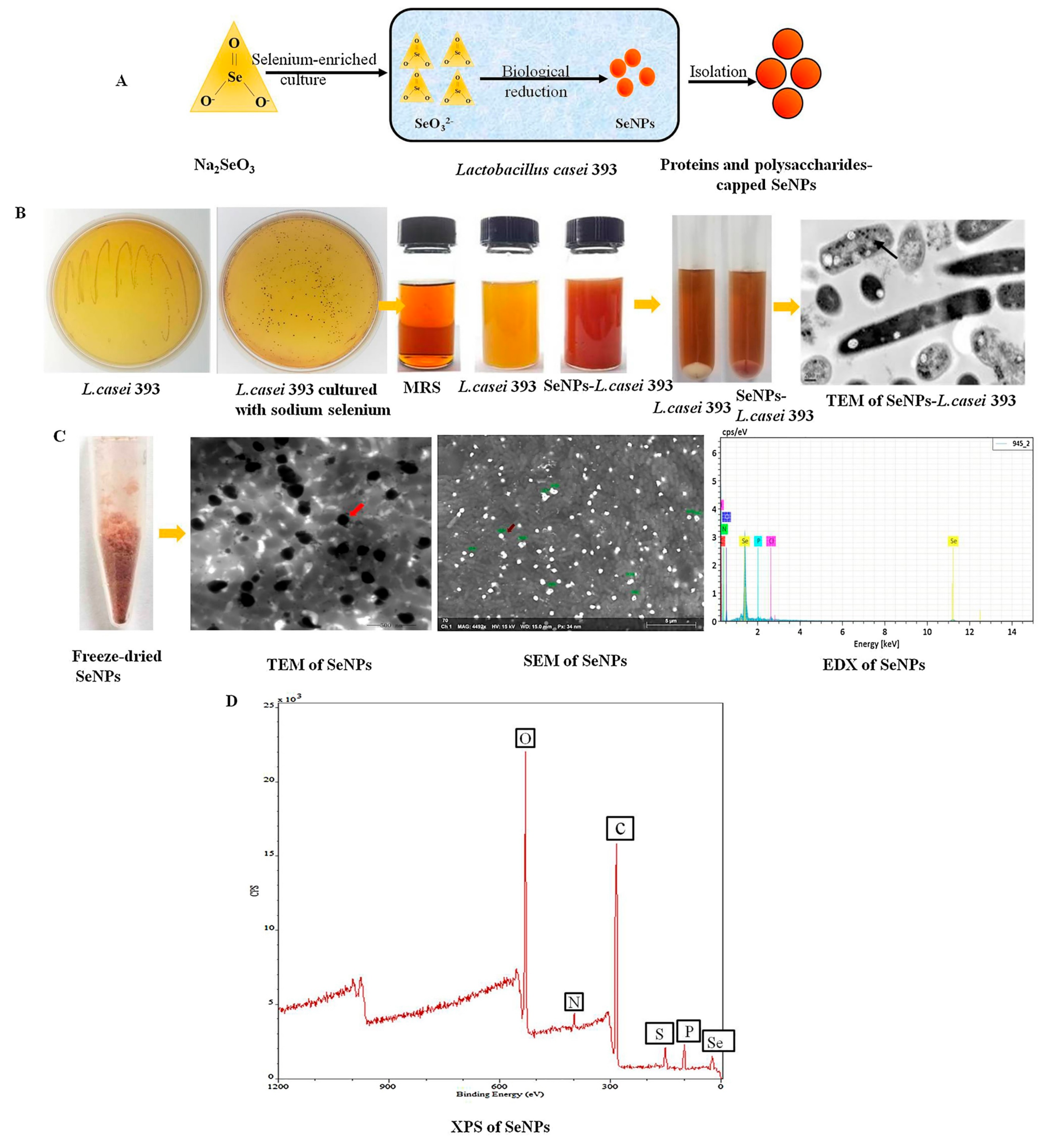 Biomimetics 08 00259 g005 Biomimetics 08 00259 g005