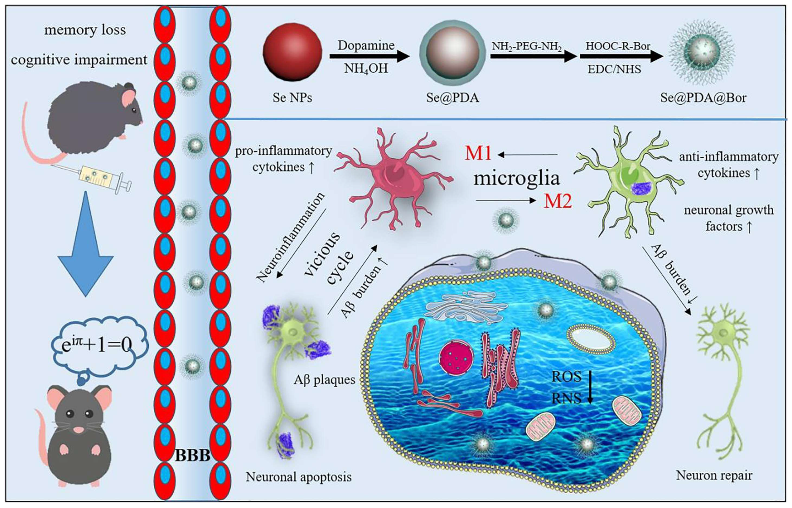 Biomimetics 08 00259 g009 Biomimetics 08 00259 g009