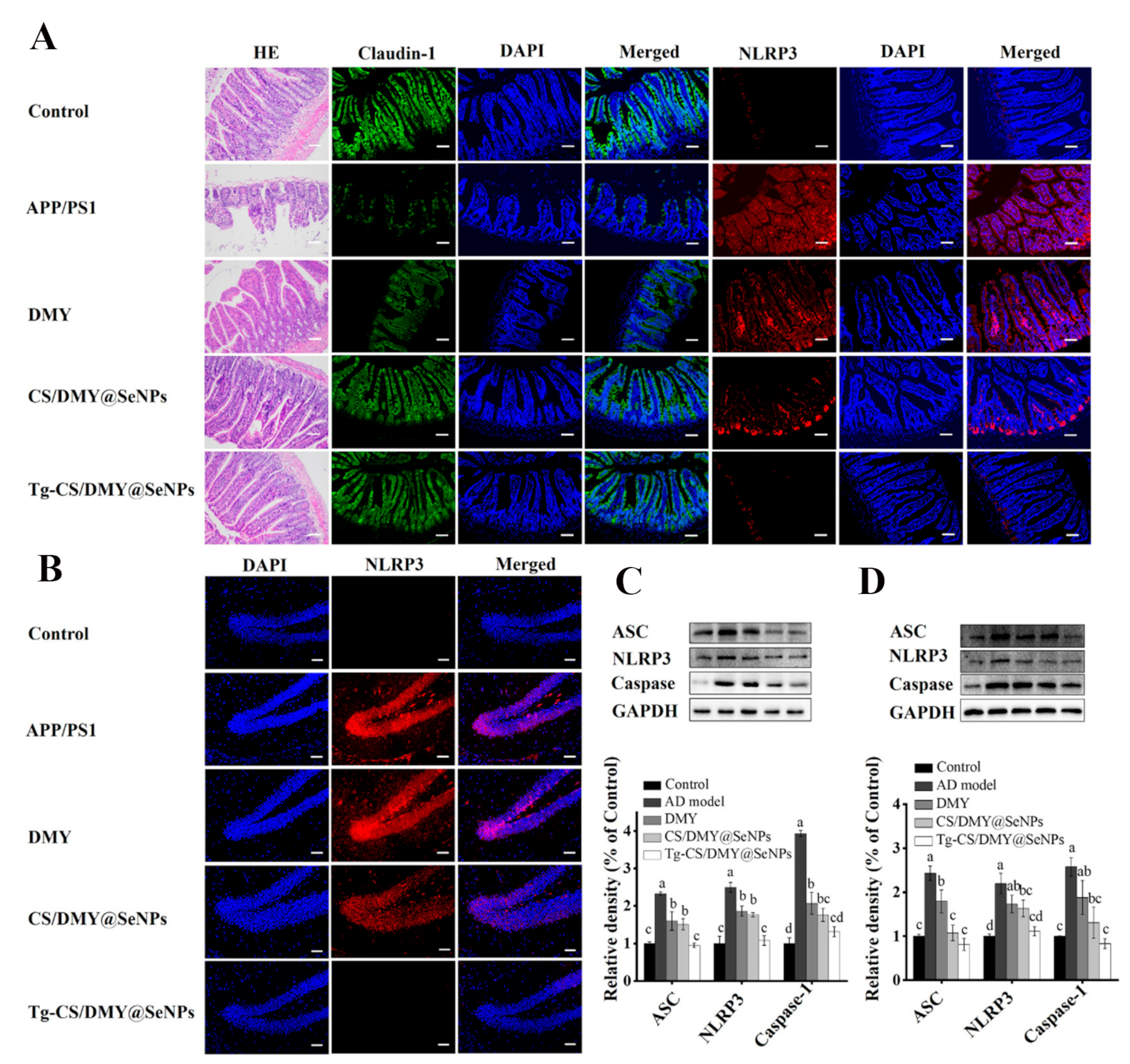 Biomimetics 08 00259 g011 Biomimetics 08 00259 g011