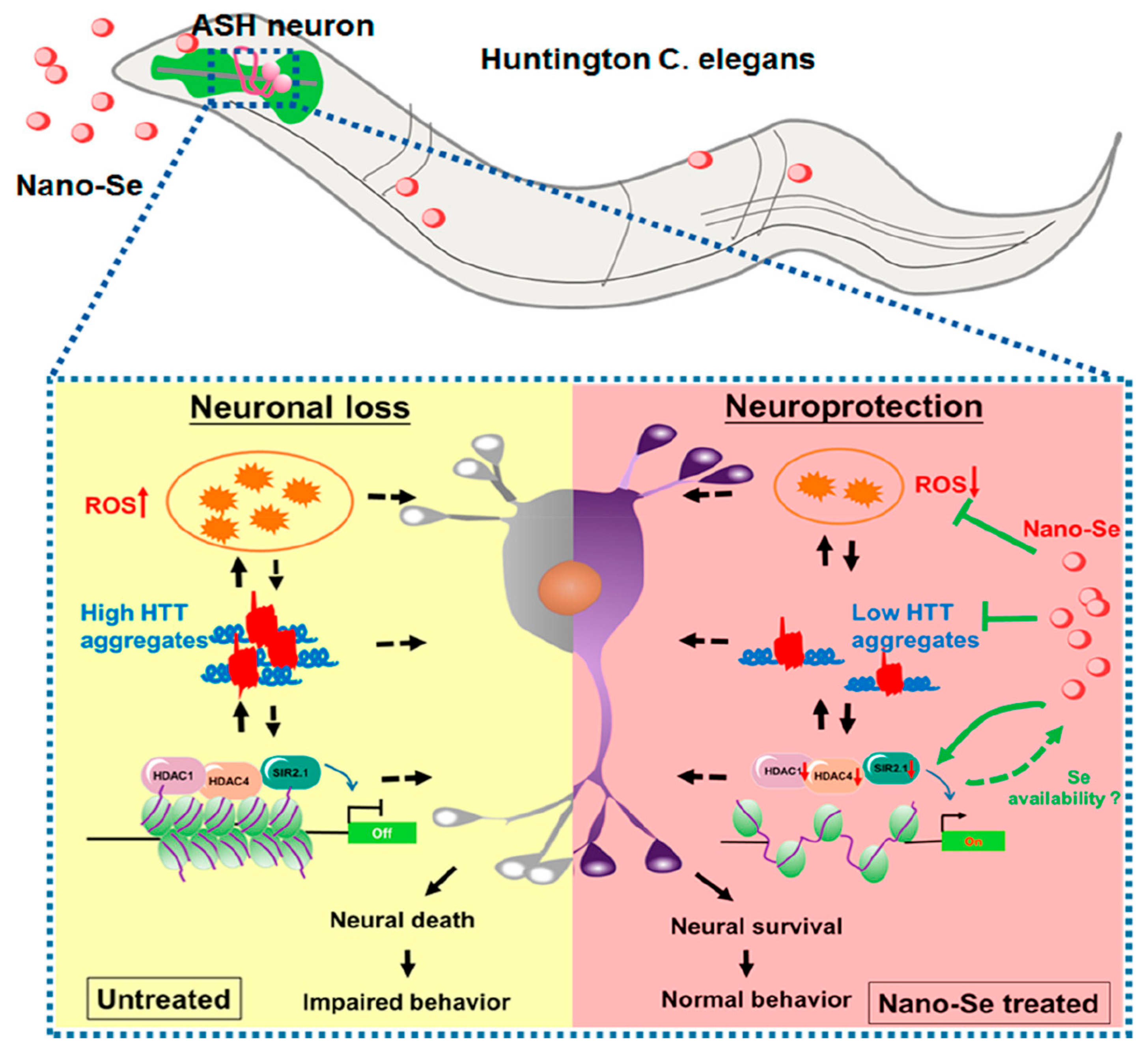 Biomimetics 08 00259 g013 Biomimetics 08 00259 g013