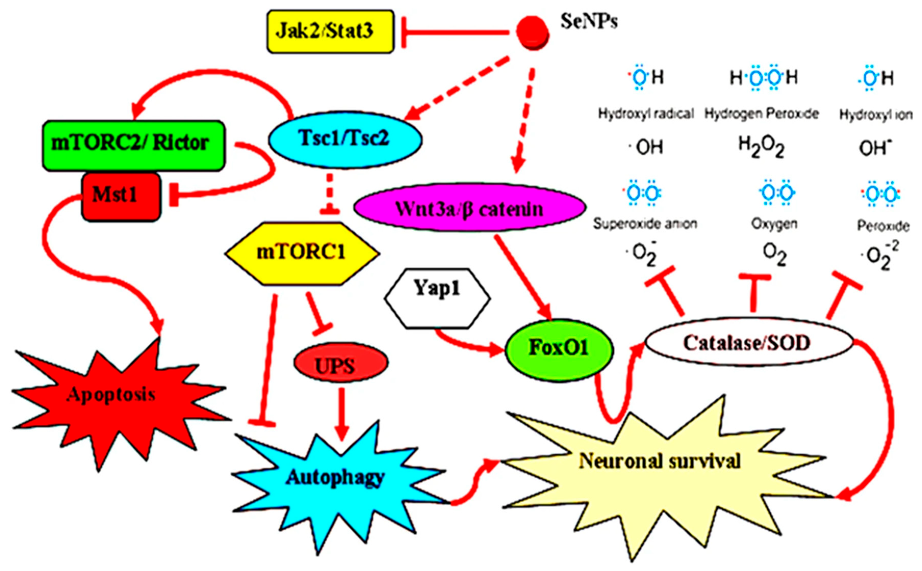 Biomimetics 08 00259 g015 Biomimetics 08 00259 g015