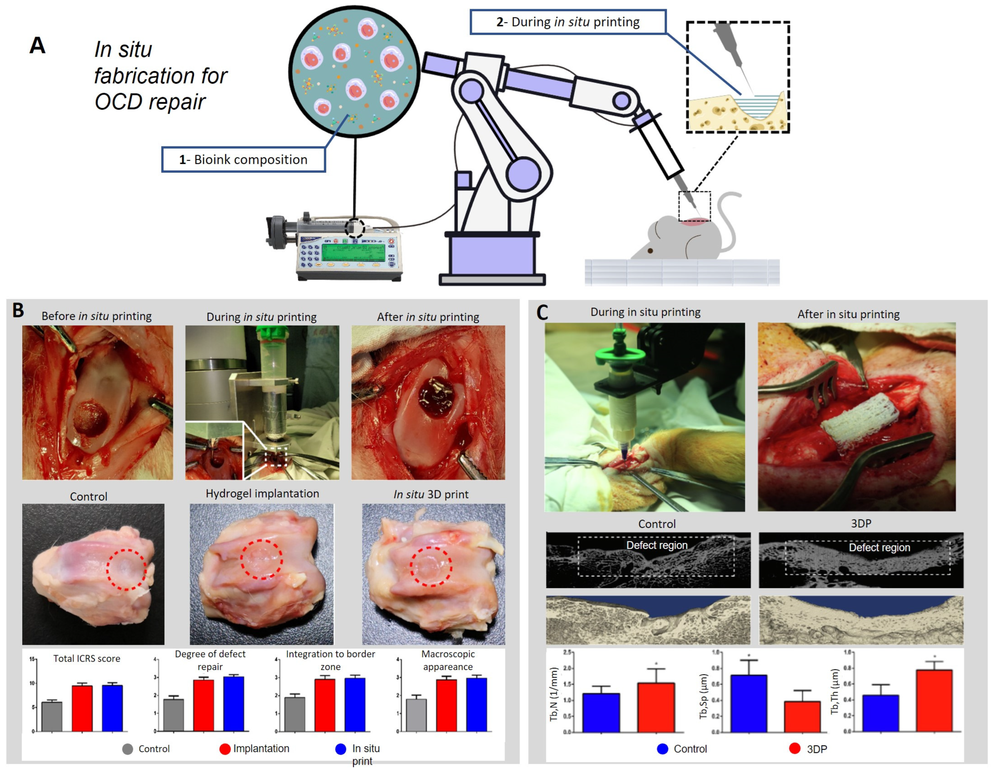 Biomimetics 08 00260 g003 Biomimetics 08 00260 g003