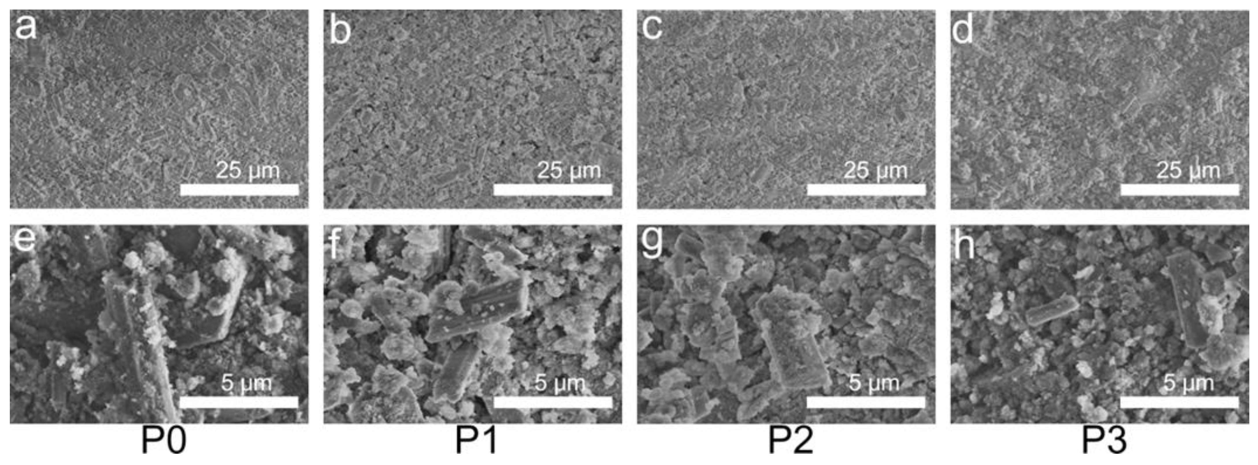 Biomimetics 08 00262 g006 Biomimetics 08 00262 g006