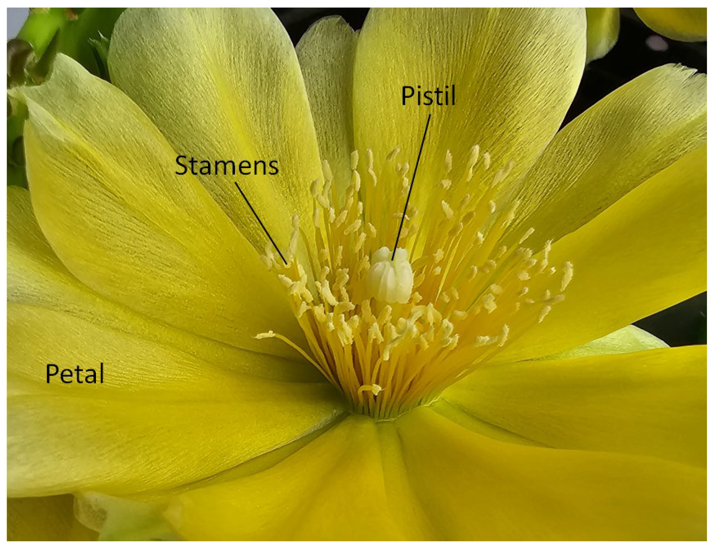 Biomimetics 08 00278 g023 Biomimetics 08 00278 g023