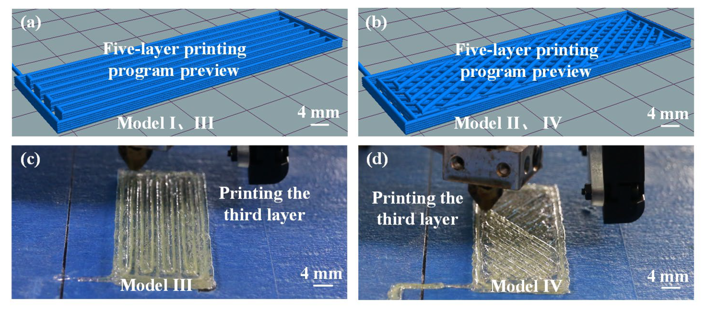 Biomimetics 08 00283 g005