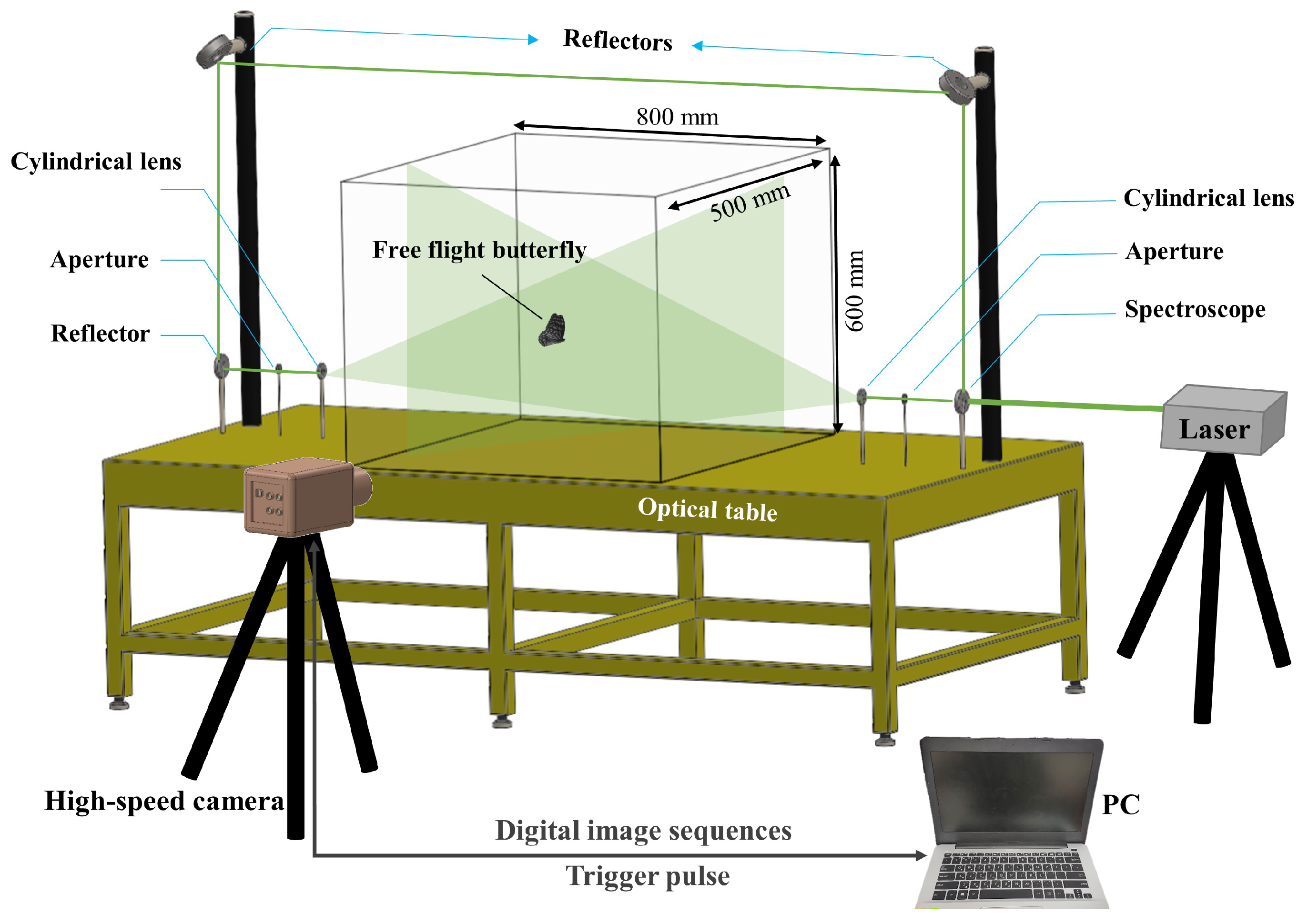 Biomimetics 08 00287 g002