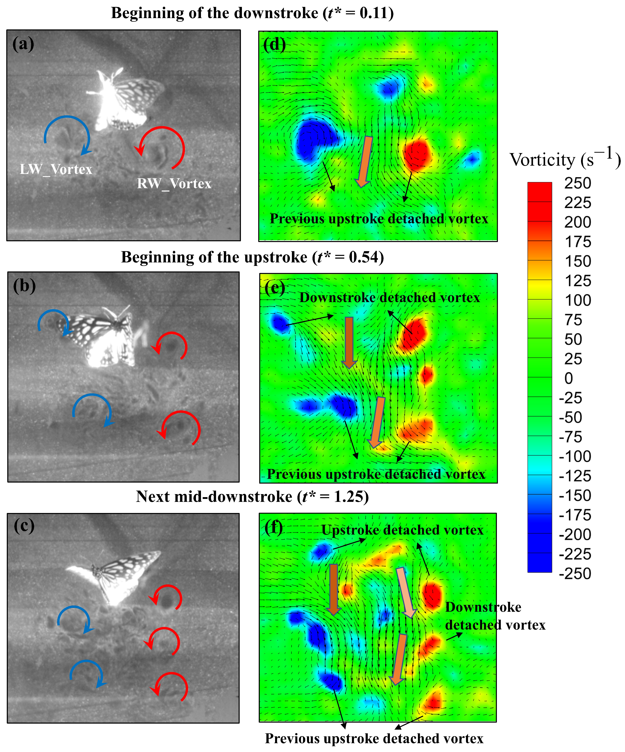 Biomimetics 08 00287 g007