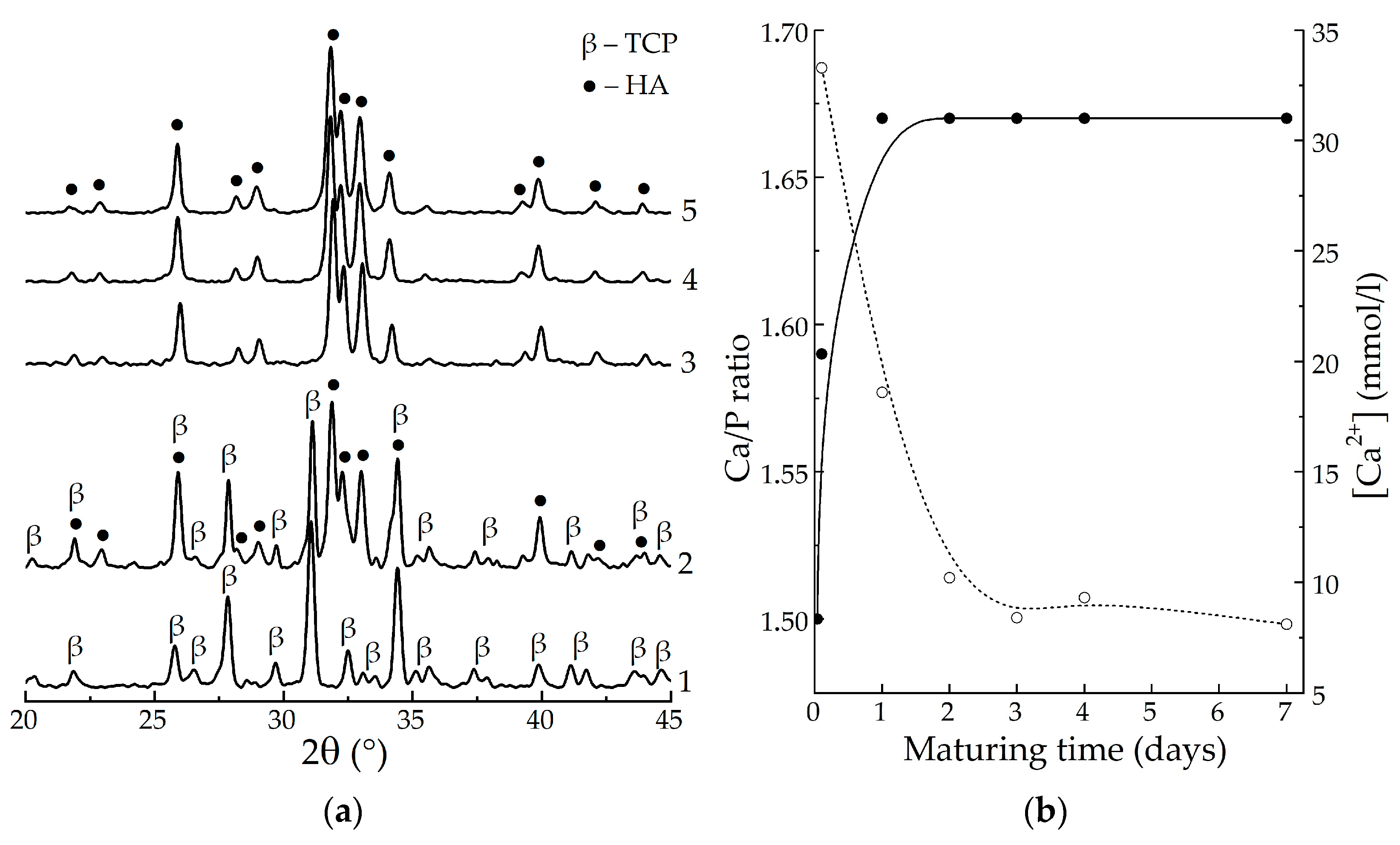 Biomimetics 08 00297 g001 Biomimetics 08 00297 g001