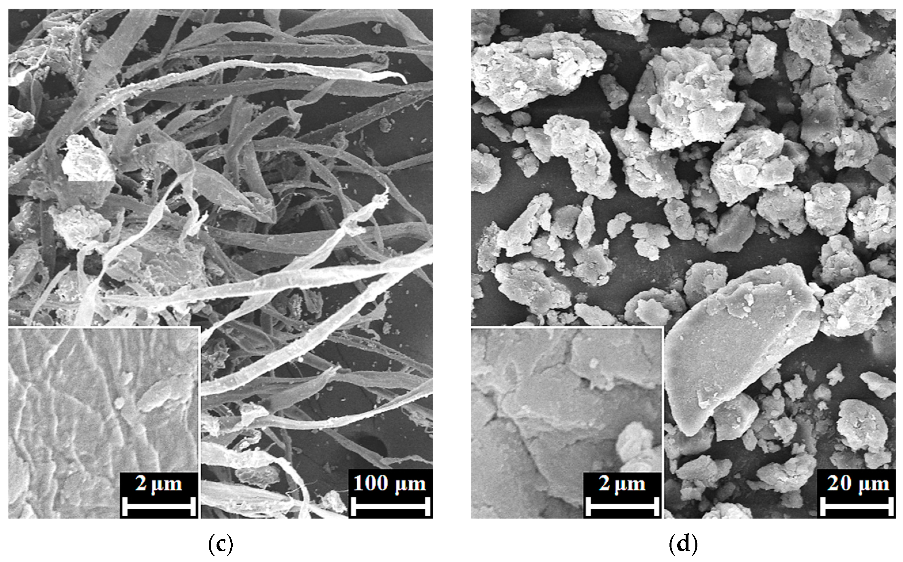 Biomimetics 08 00297 g003b Biomimetics 08 00297 g003b