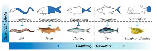 Biomimetics | Free Full-Text | Underwater Undulating Propulsion ...