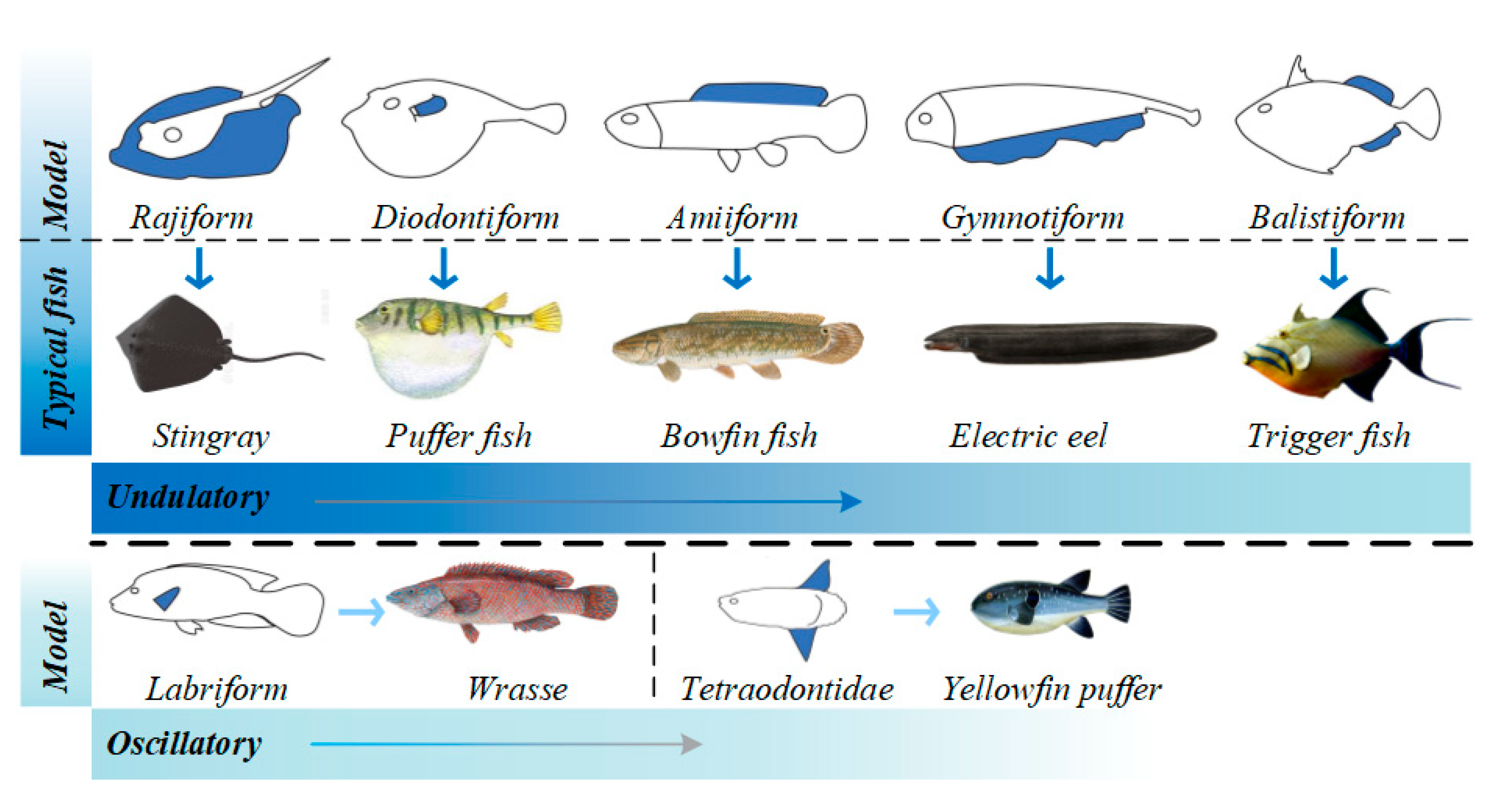 Review of research and control technology of underwater bionic