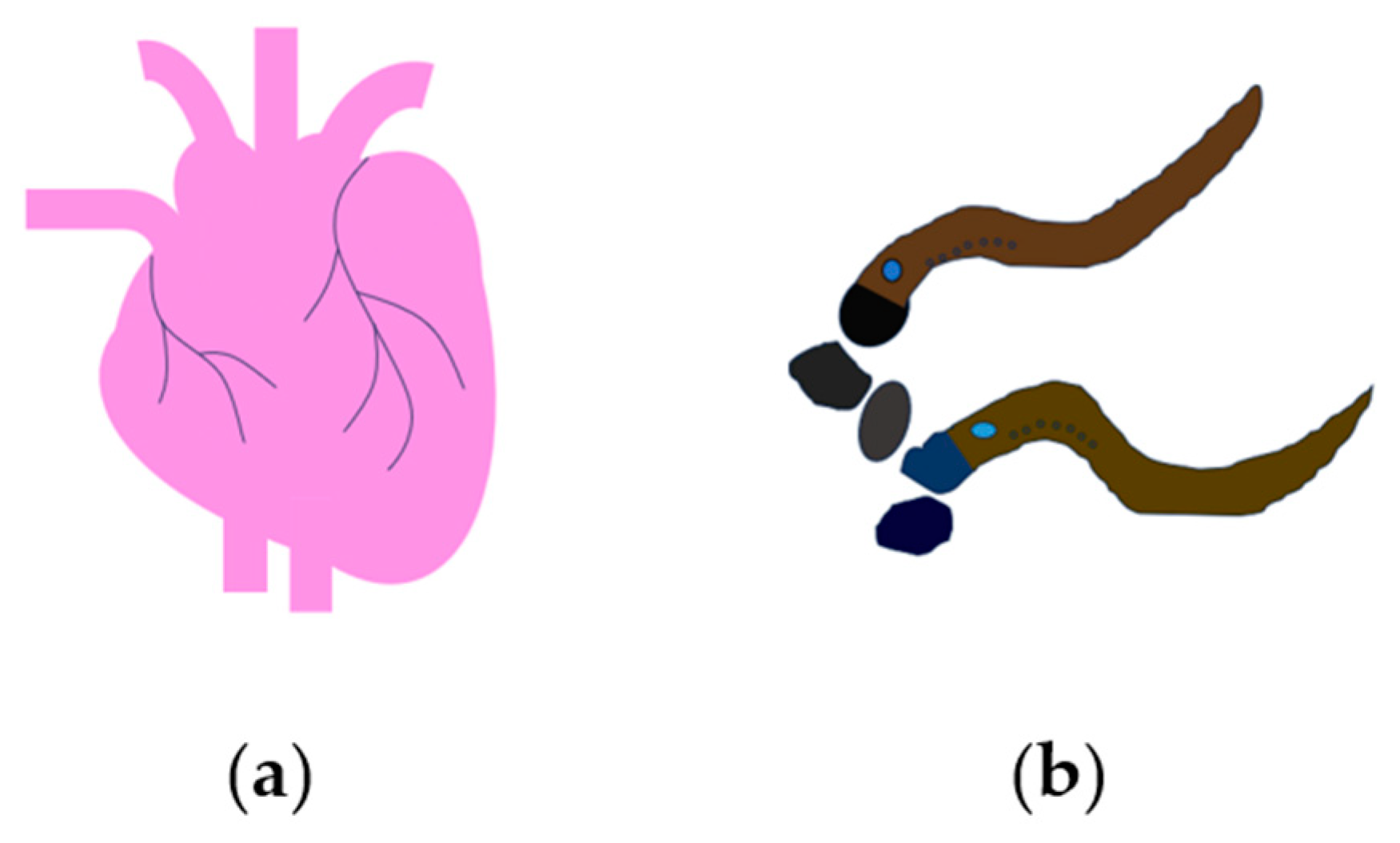 Biomimetics 08 00337 g001