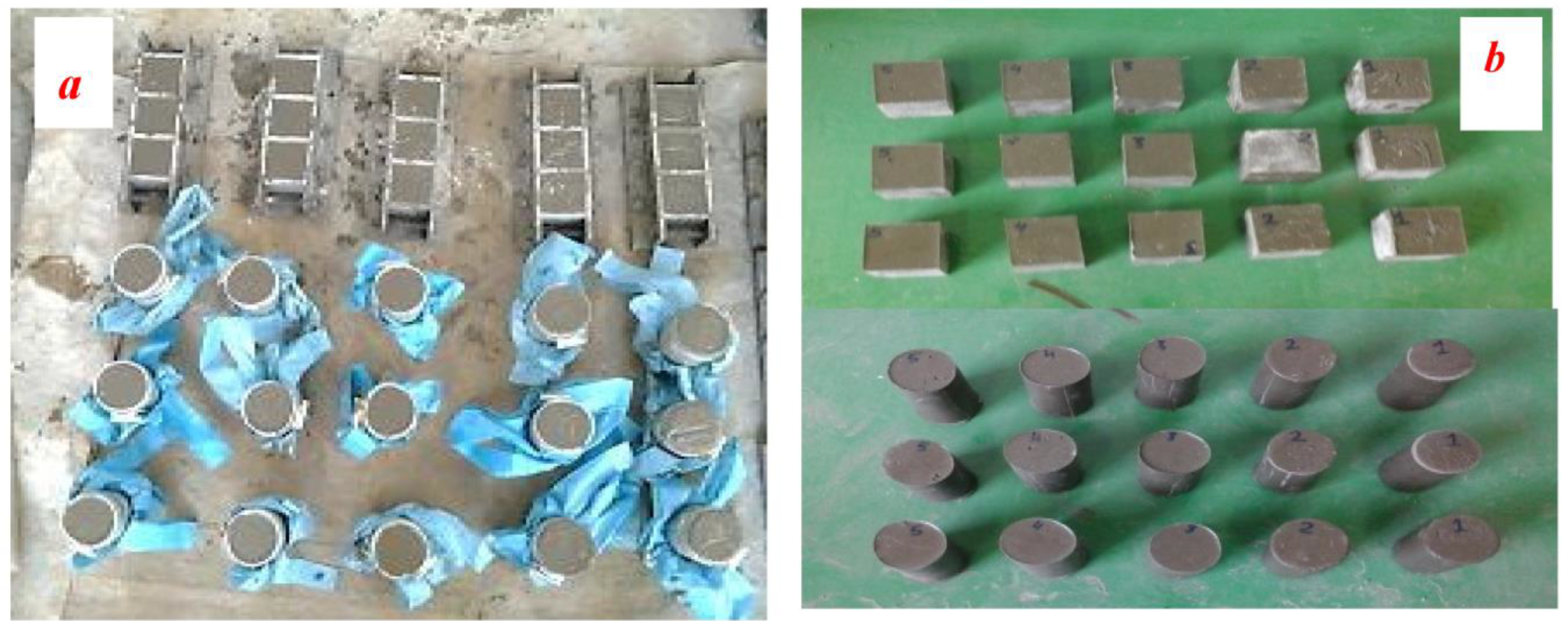 Biomimetics 08 00392 g003