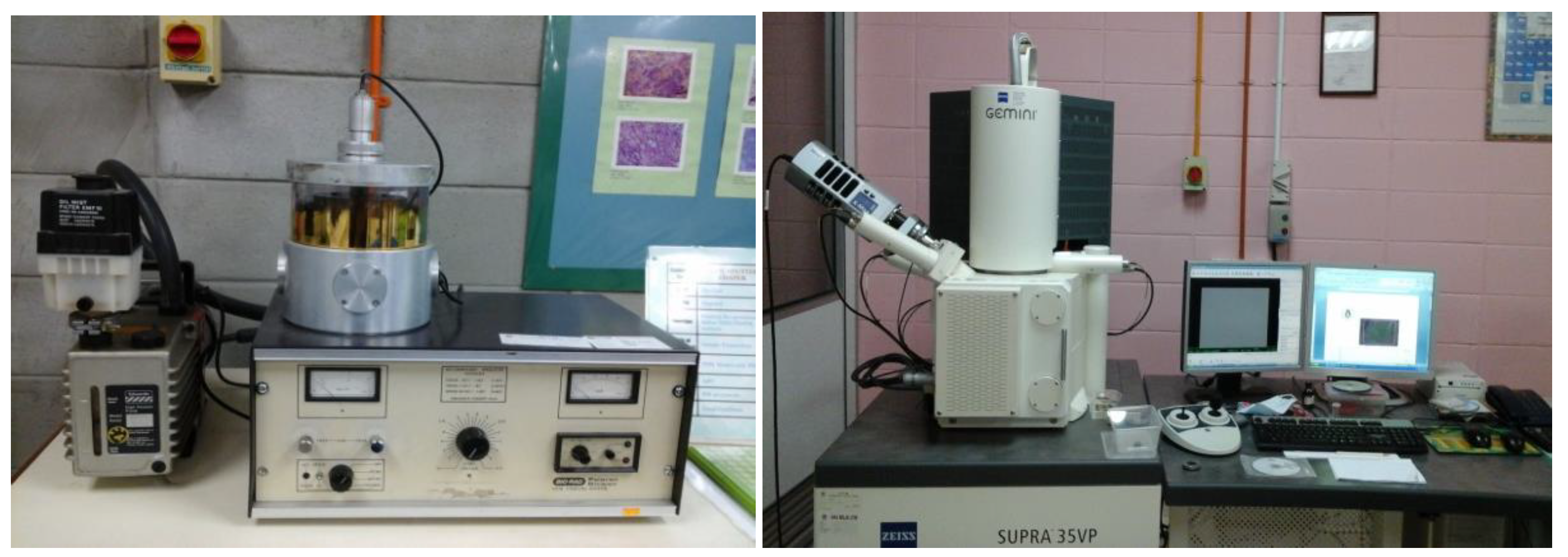 Biomimetics 08 00392 g005