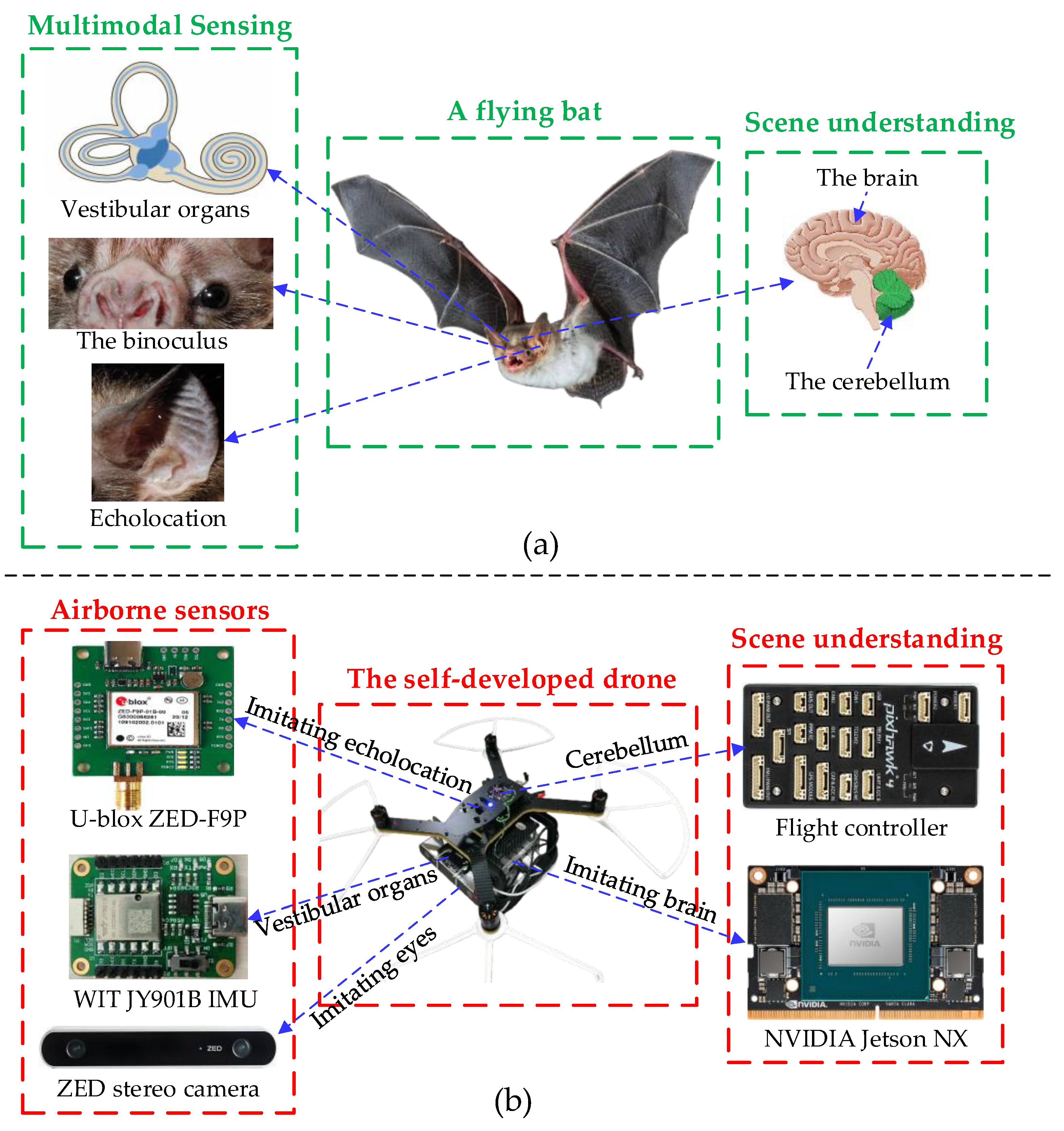 https://www.mdpi.com/biomimetics/biomimetics-08-00436/article_deploy/html/images/biomimetics-08-00436-g001.png