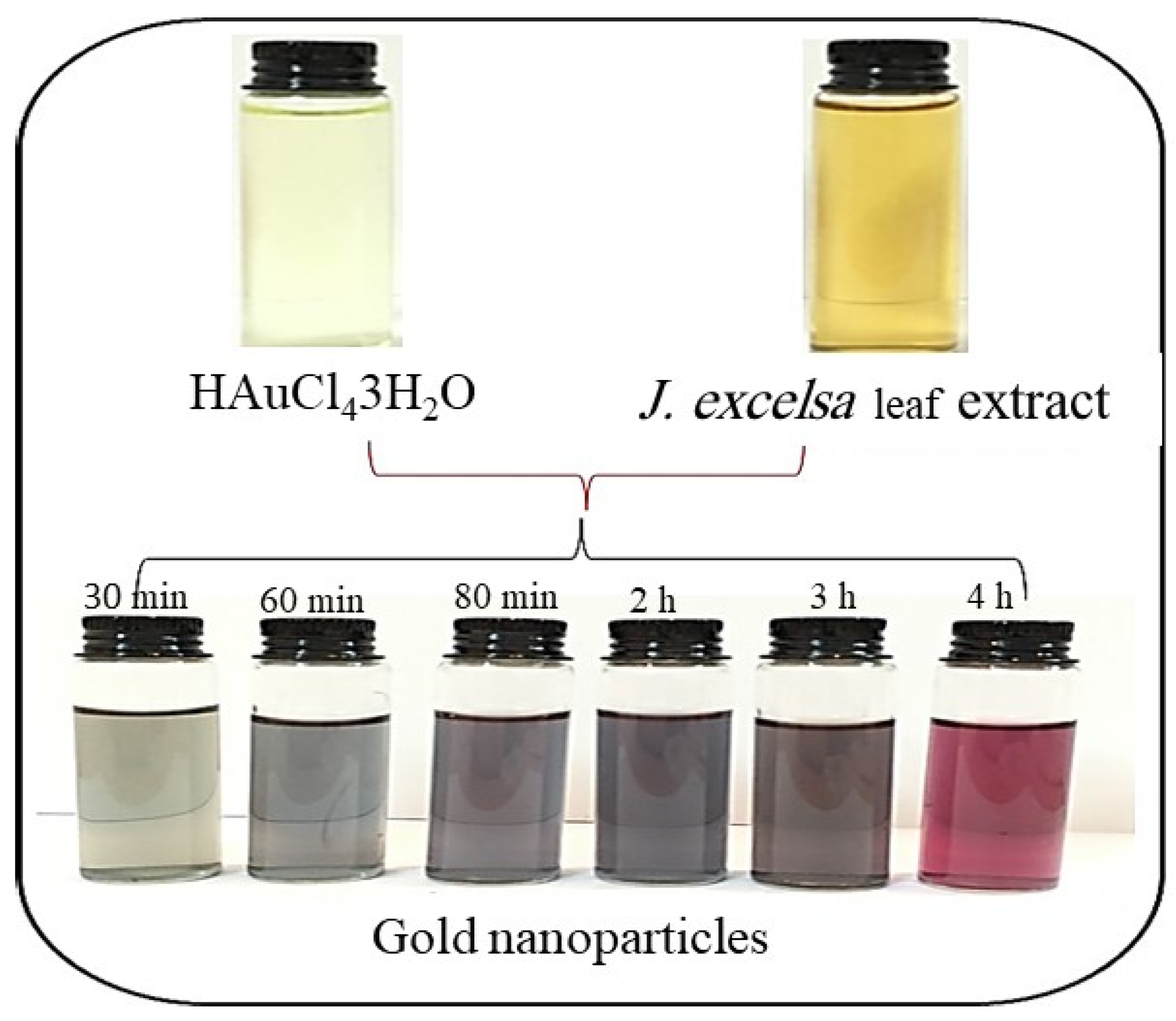 Biomimetics 08 00452 g001