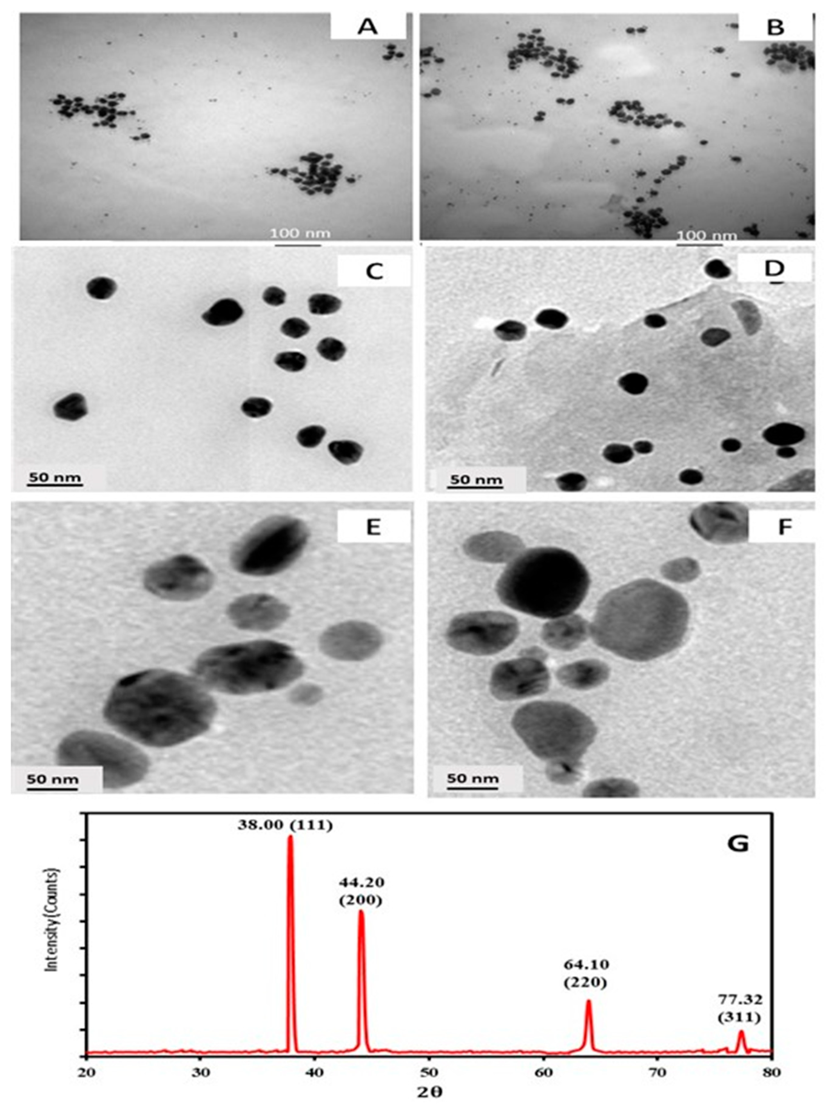 Biomimetics 08 00452 g005