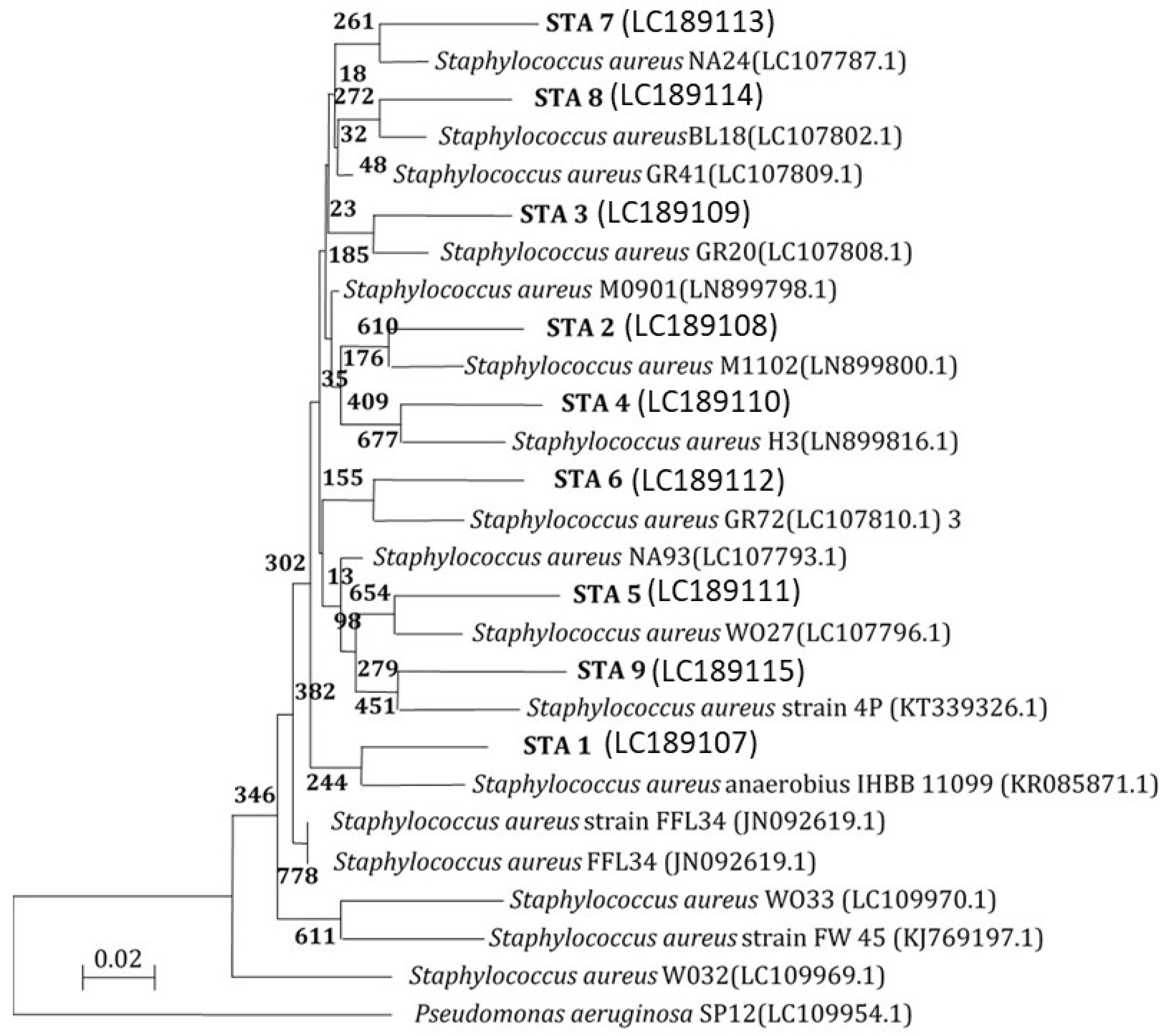 Biomimetics 08 00452 g009