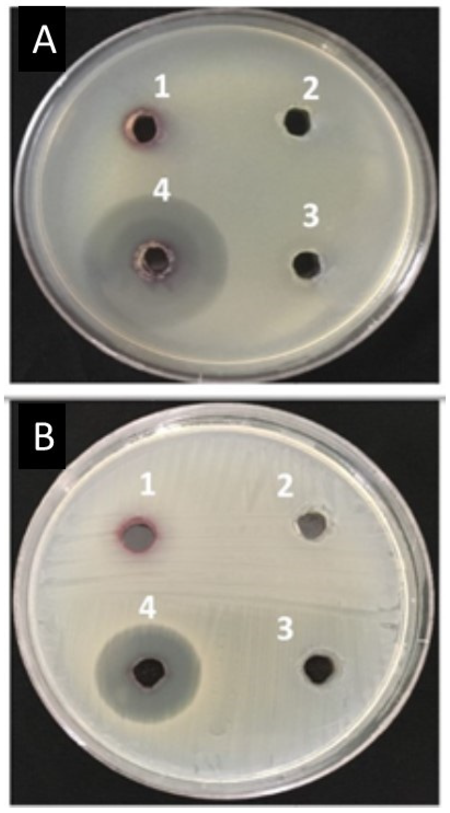 Biomimetics 08 00452 g010
