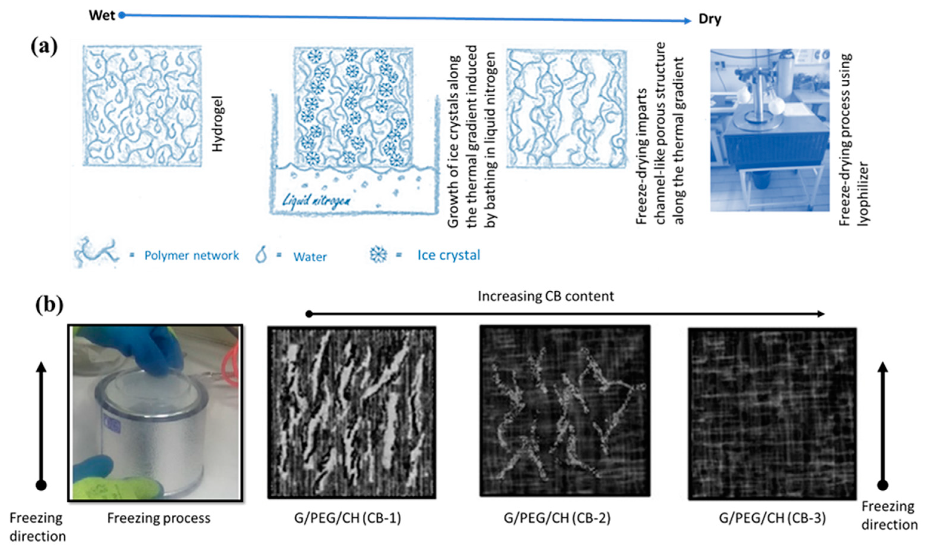 Biomimetics 08 00473 sch001