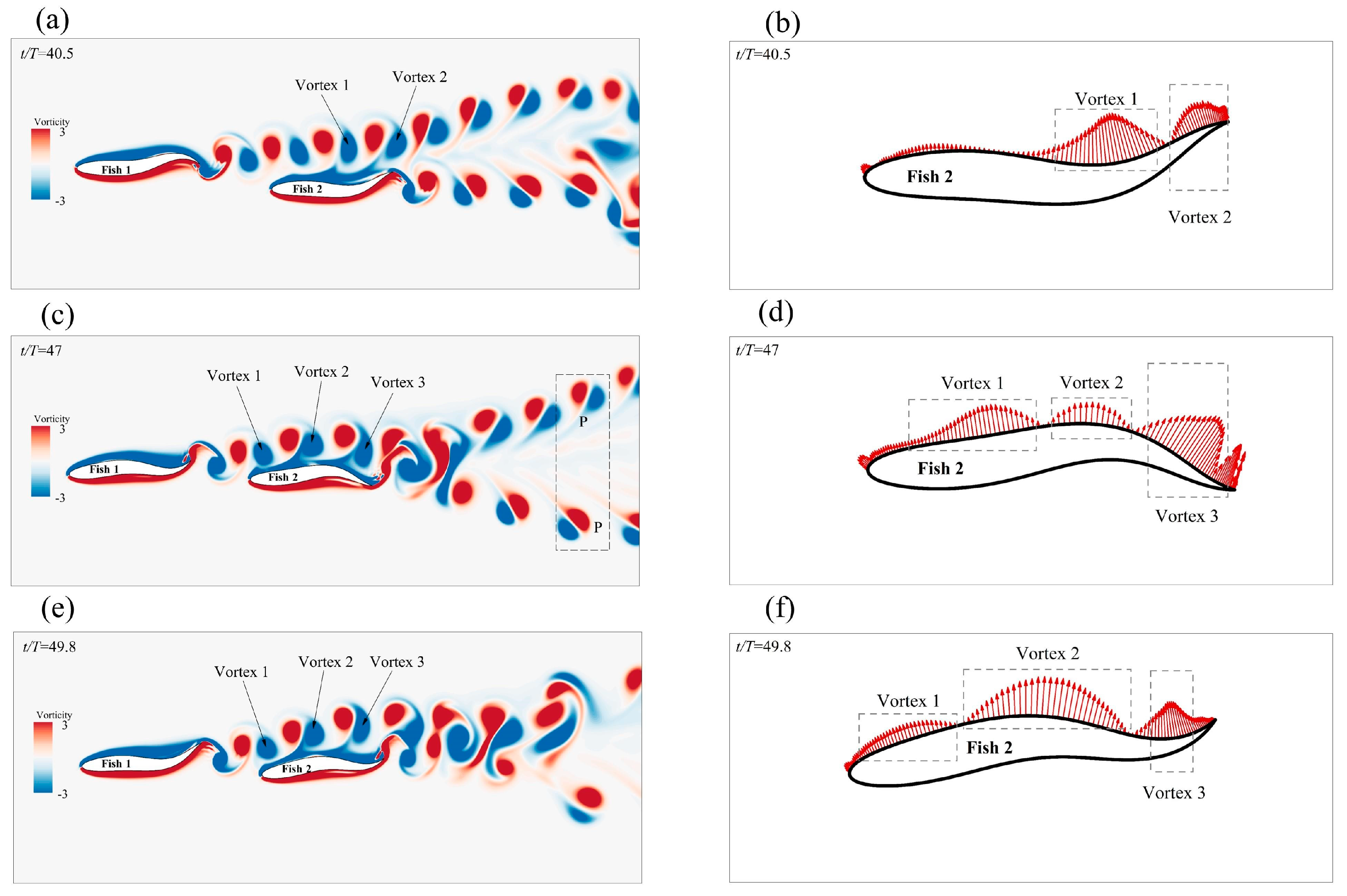 Biomimetics 08 00510 g013