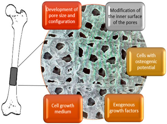 Biomimetics | Free Full-Text | Development Of Bioactive Scaffolds For ...