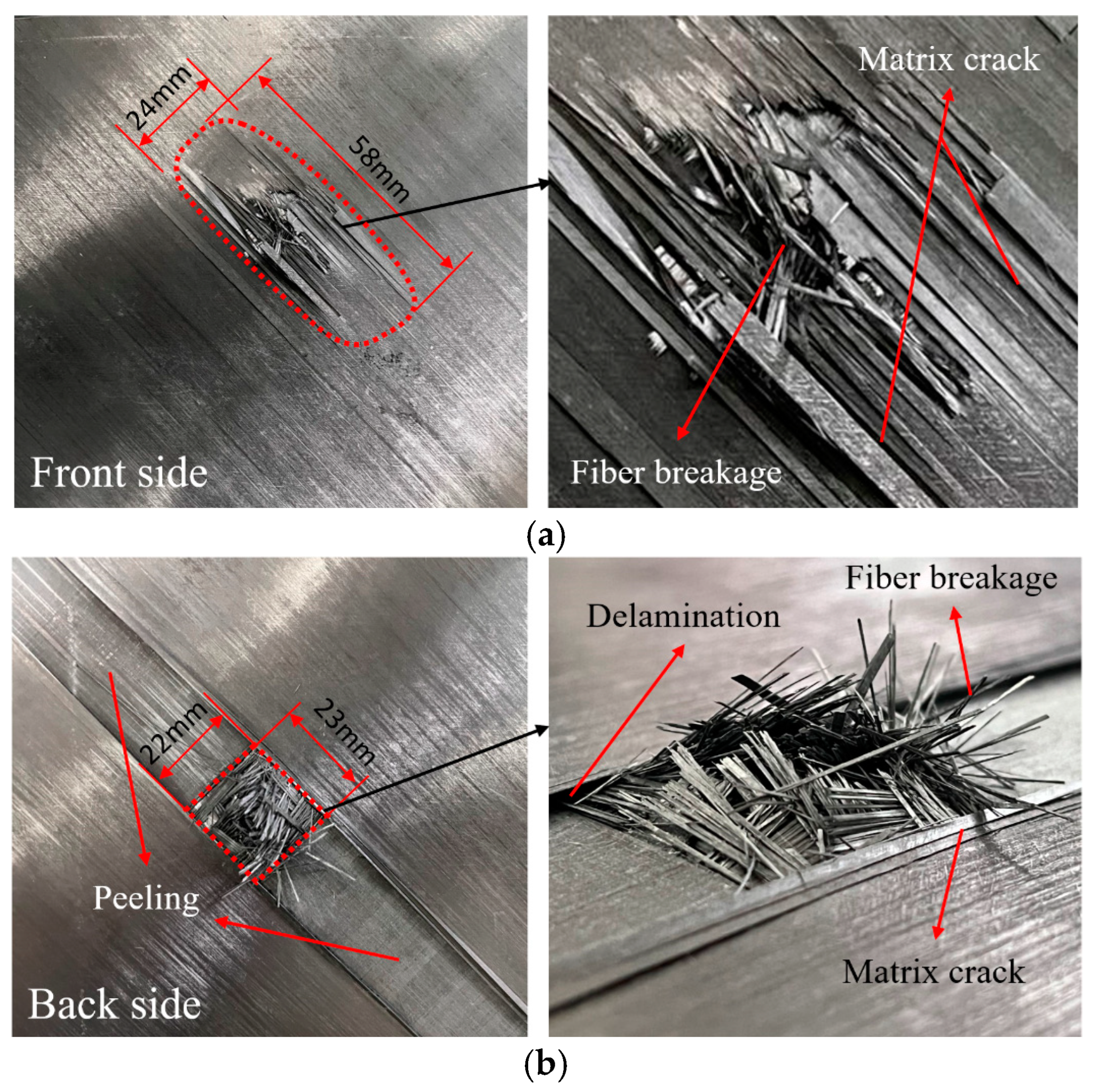 Biomimetics 08 00568 g012