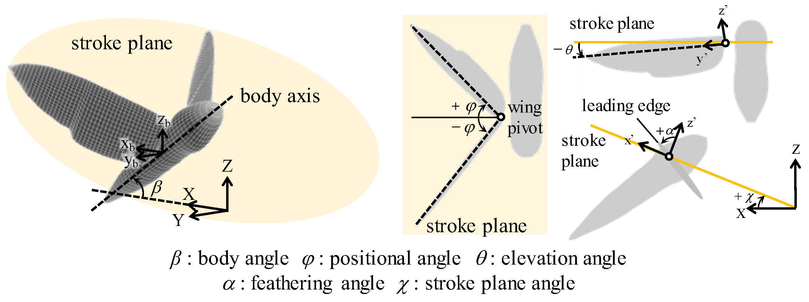Biomimetics 08 00578 g002