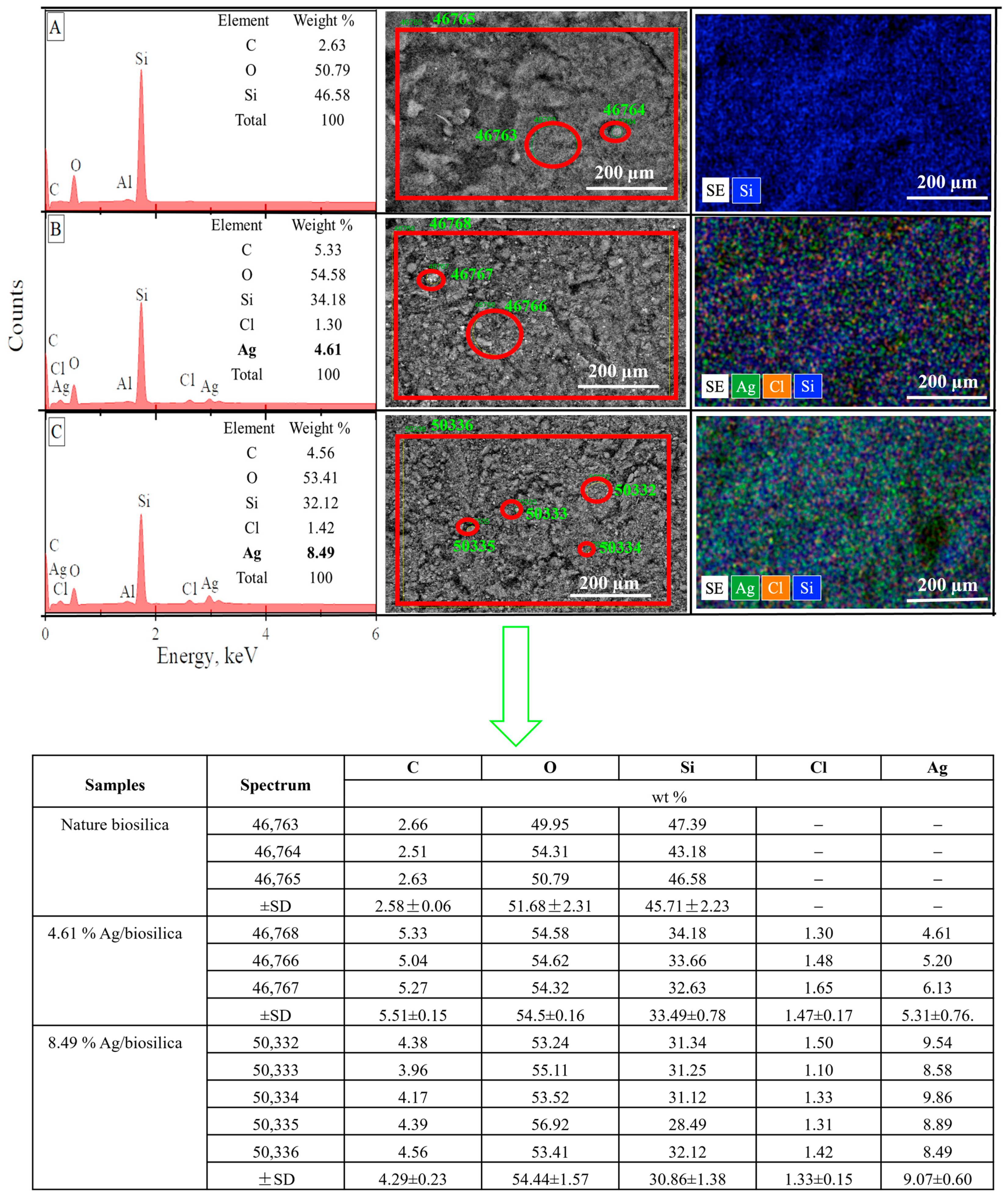 Biomimetics 09 00005 g002