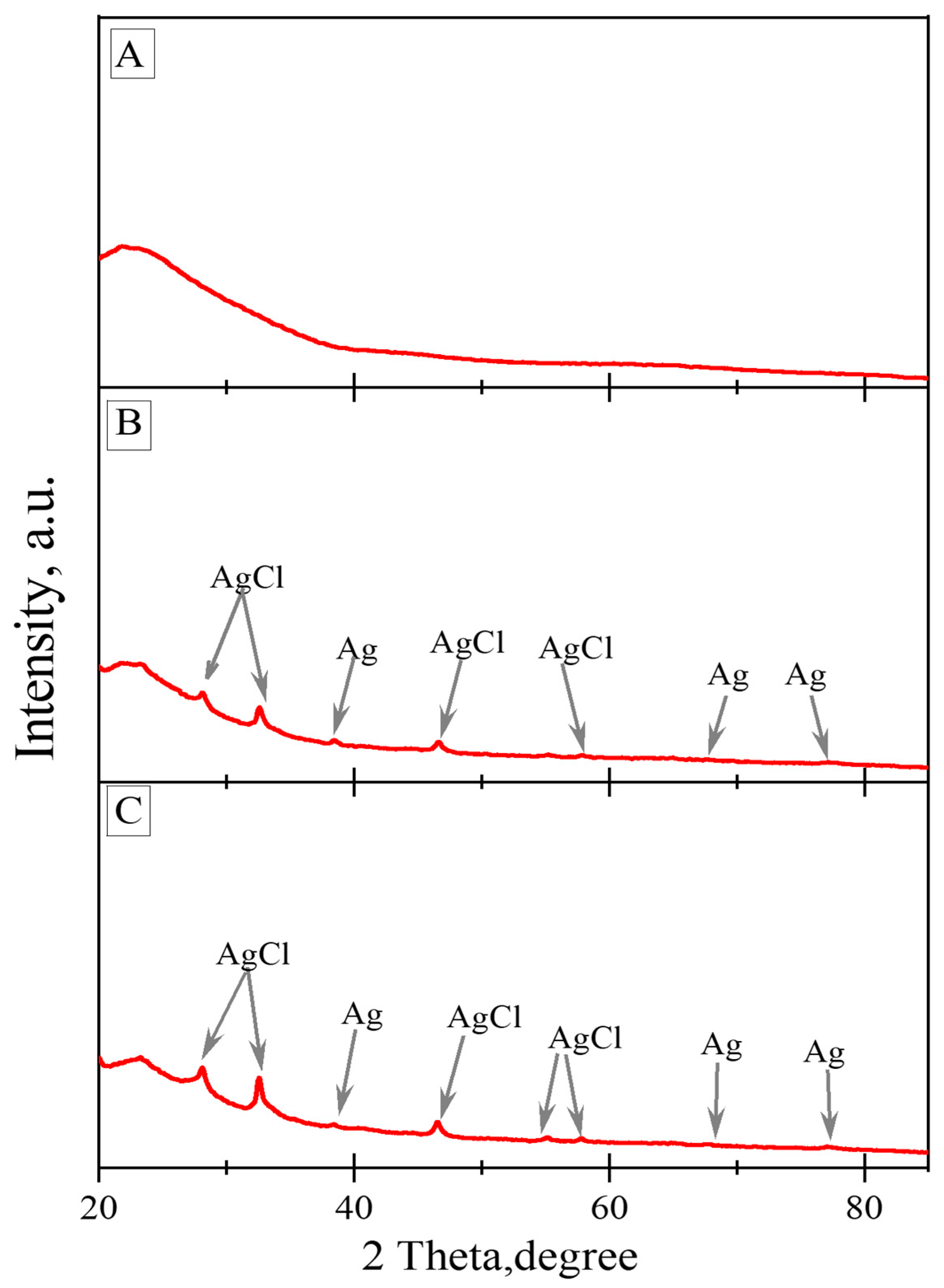 Biomimetics 09 00005 g003