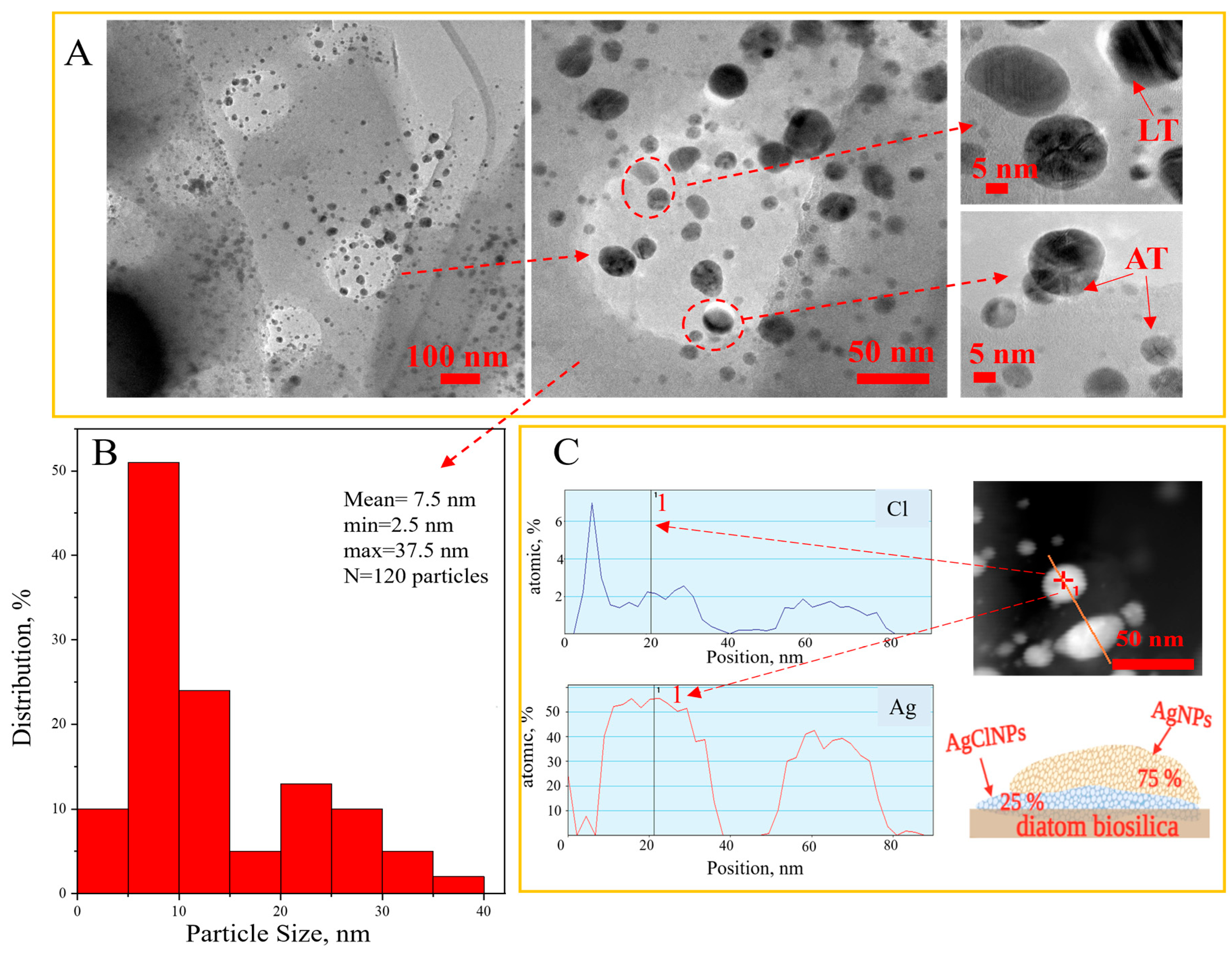 Biomimetics 09 00005 g004