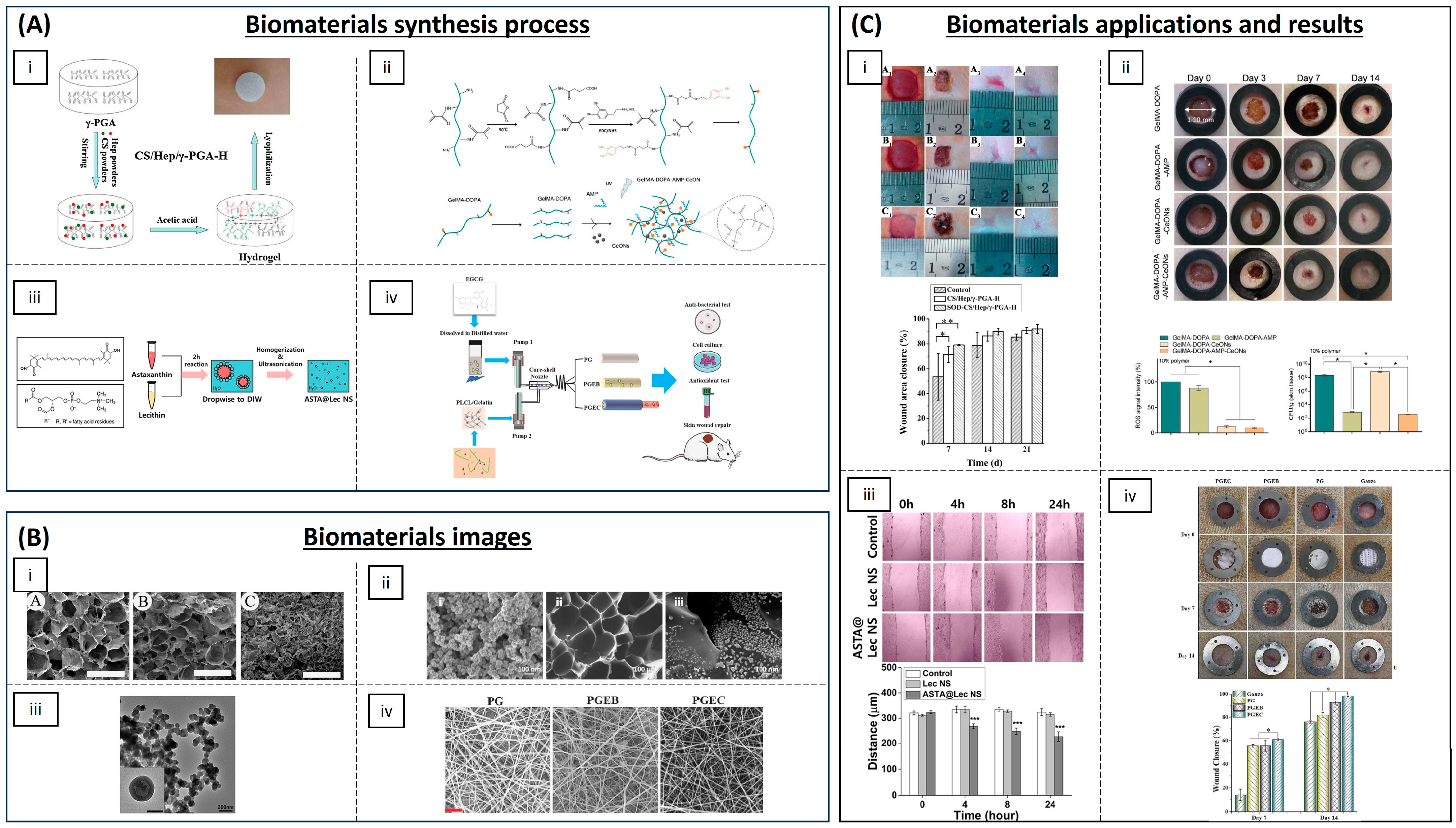 Biomimetics 09 00023 g004 Biomimetics 09 00023 g004