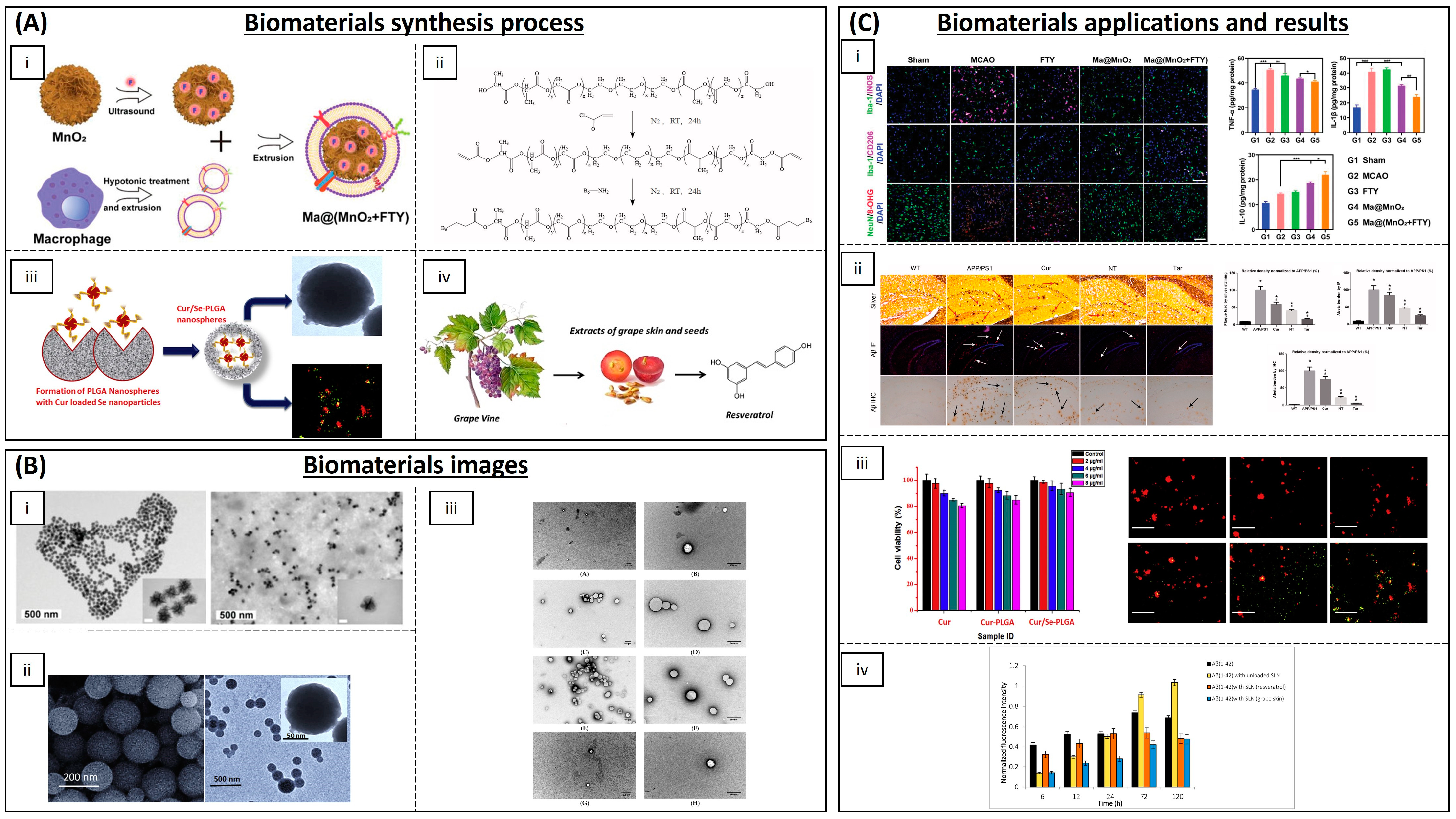 Biomimetics 09 00023 g005 Biomimetics 09 00023 g005