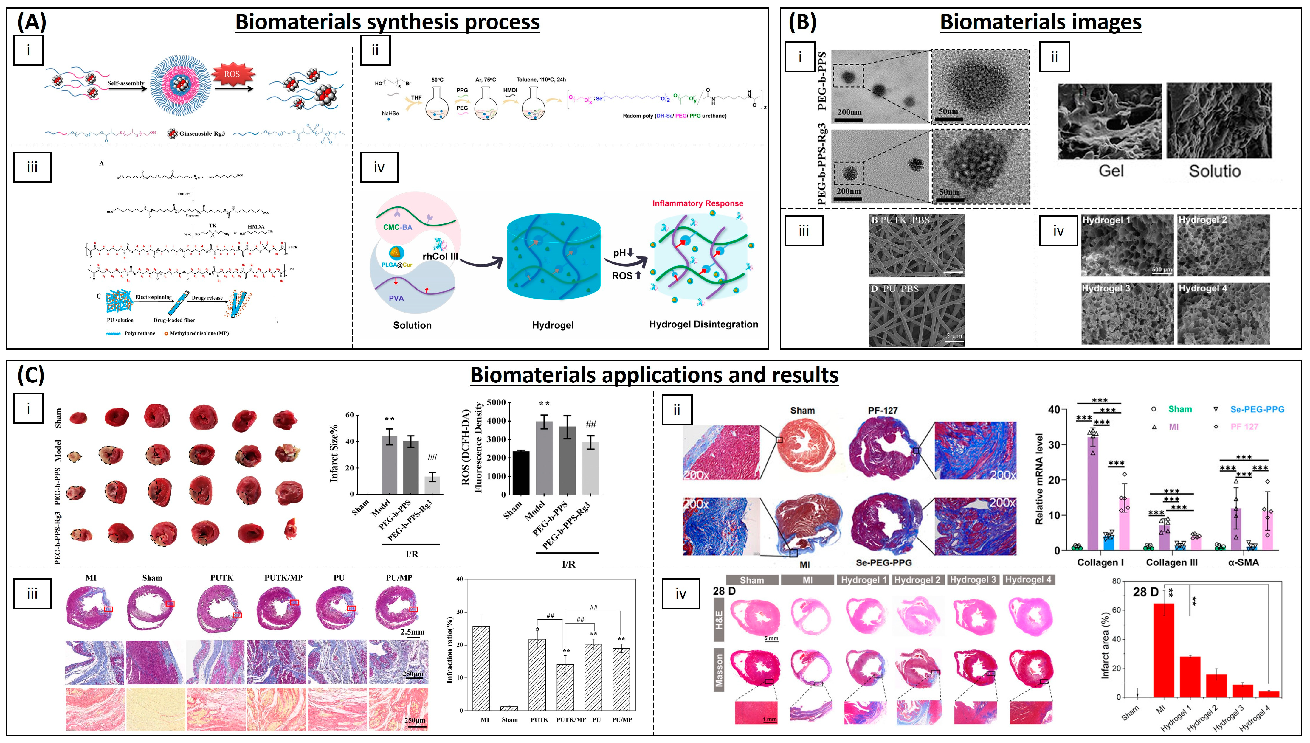 Biomimetics 09 00023 g006 Biomimetics 09 00023 g006