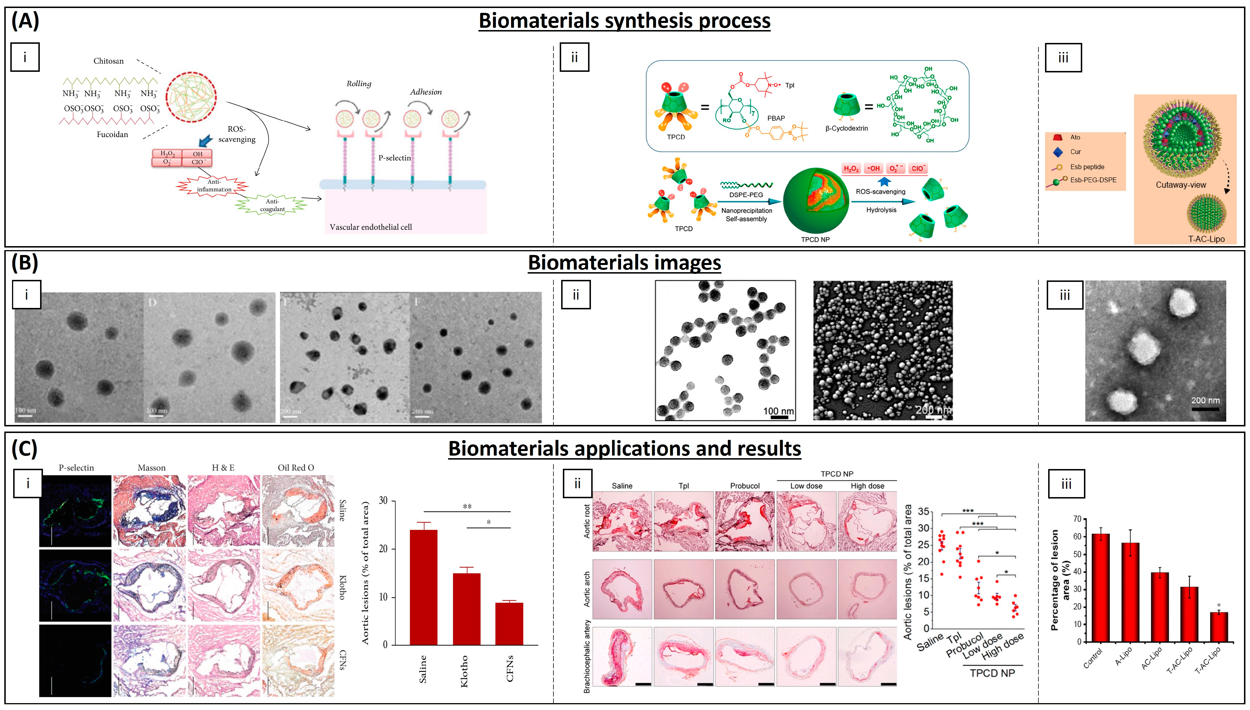 Biomimetics 09 00023 g007 Biomimetics 09 00023 g007
