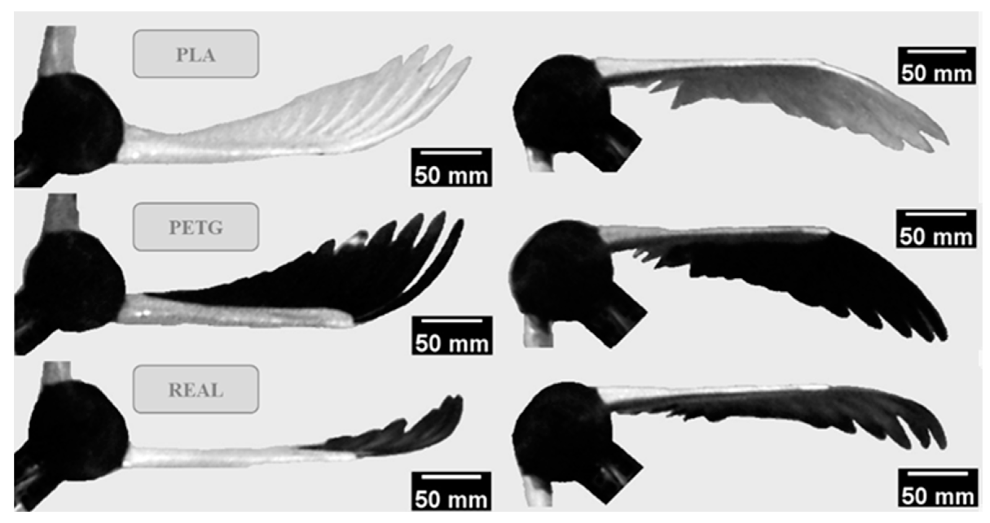 Biomimetics 09 00036 g005