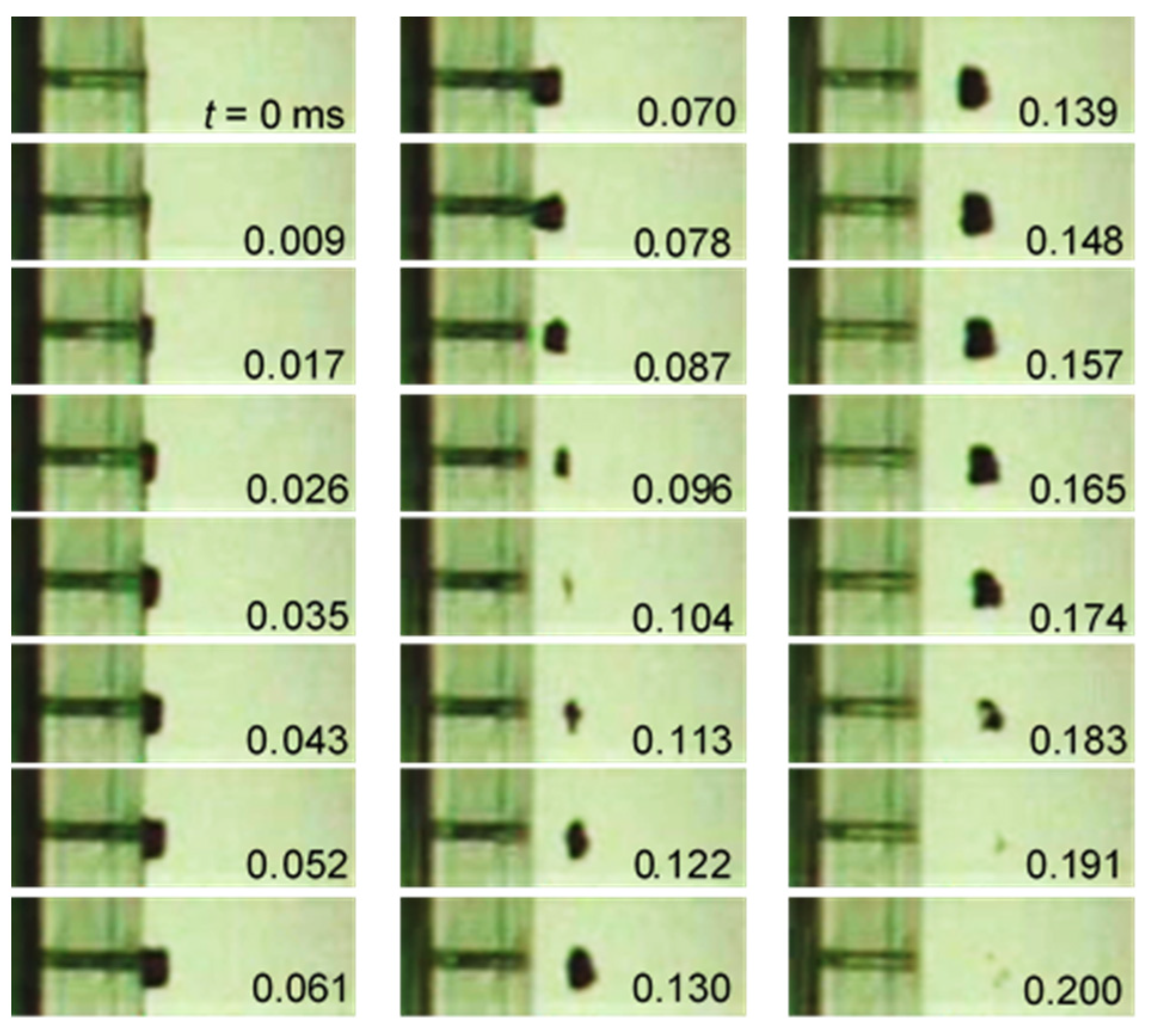 Biomimetics 09 00047 g014 Biomimetics 09 00047 g014