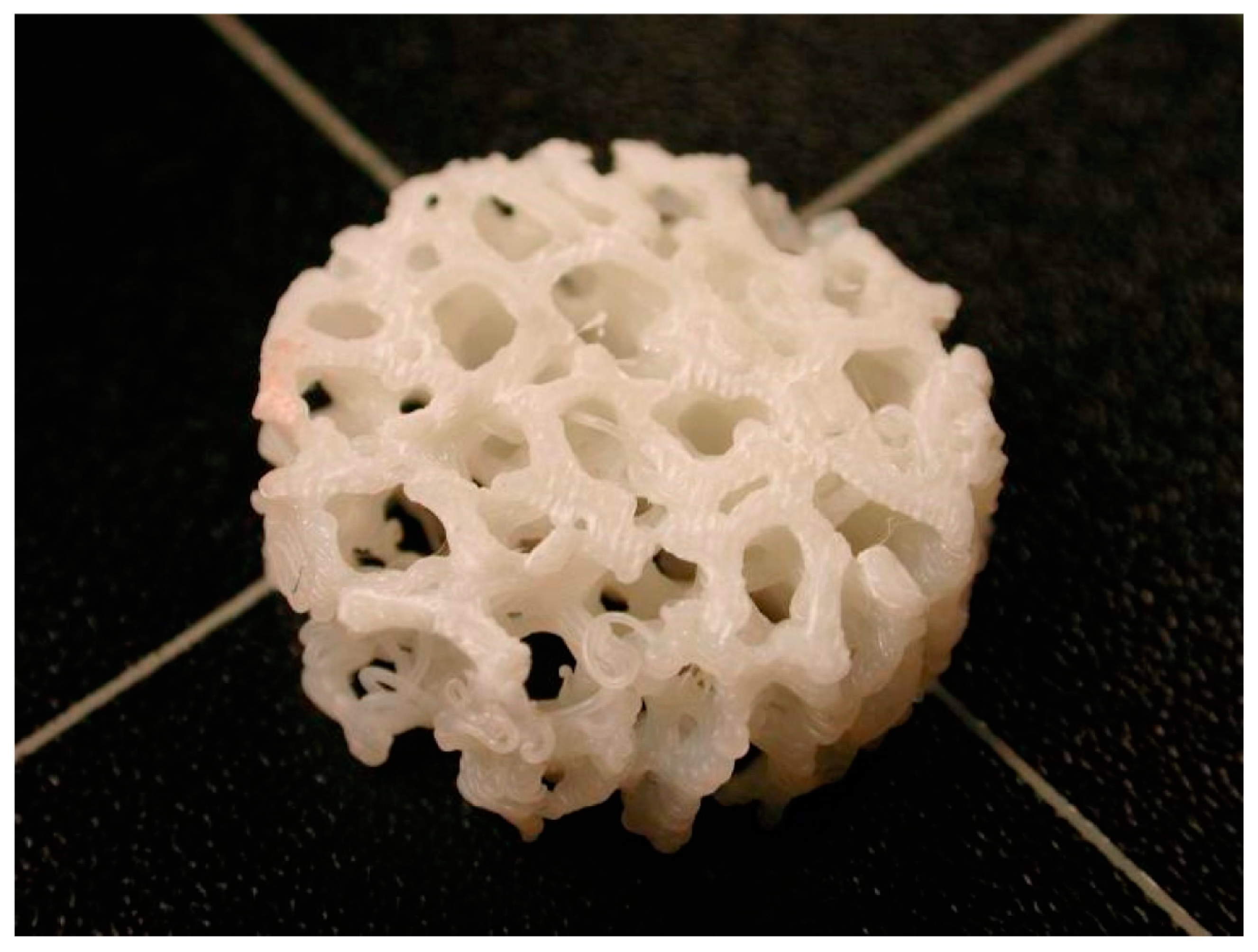 Biomimetics 09 00048 g006 Biomimetics 09 00048 g006