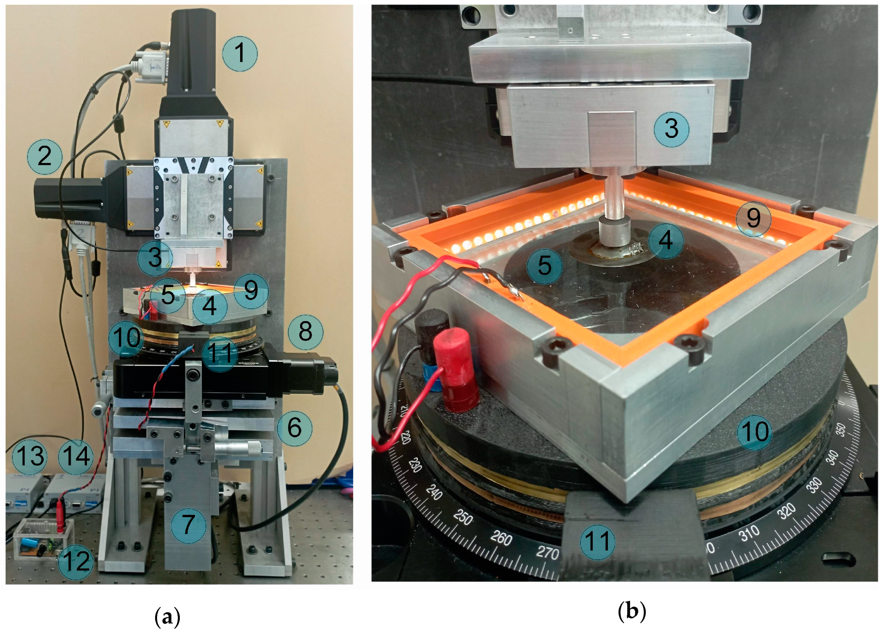 Biomimetics 09 00052 g002