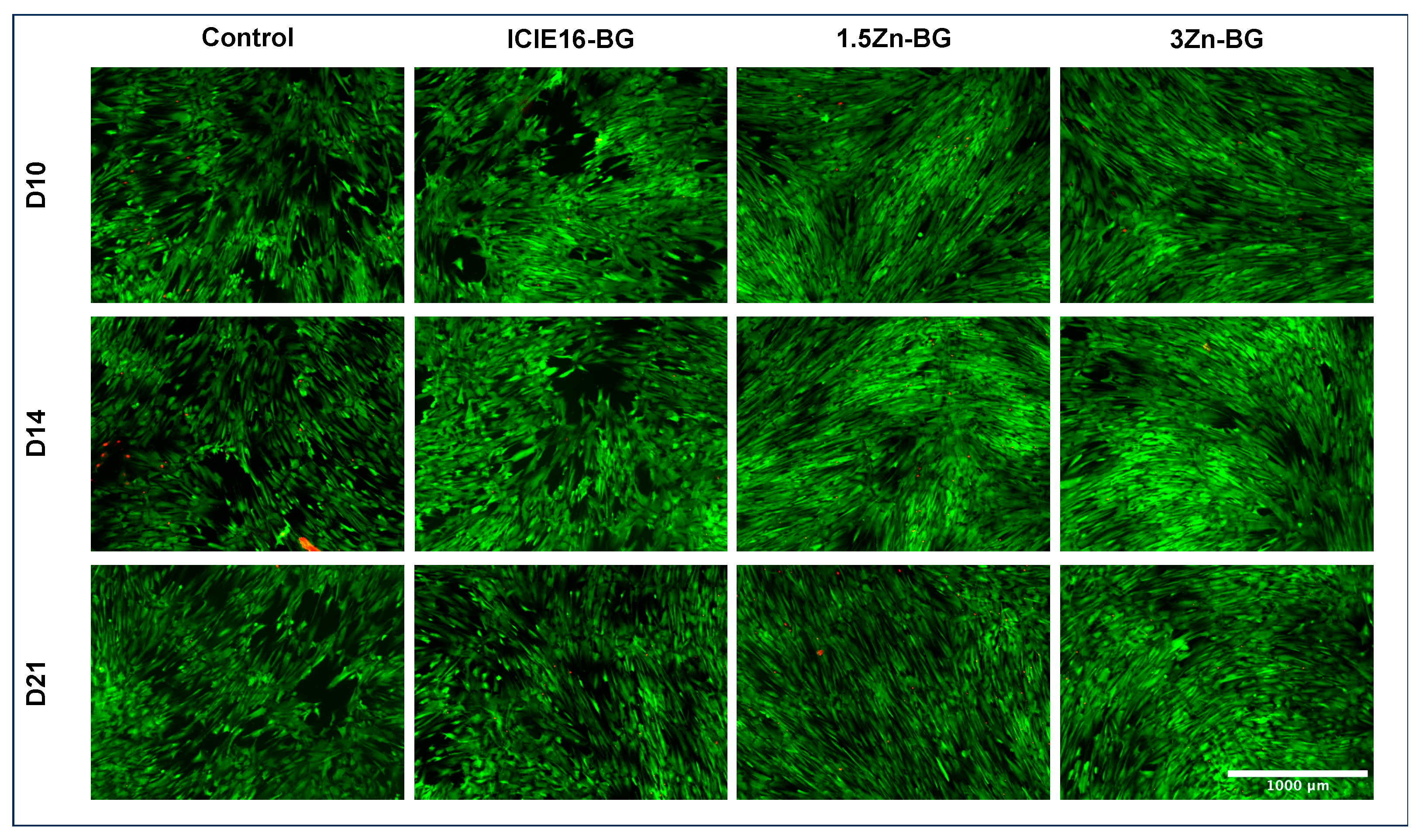 Biomimetics 09 00053 g005
